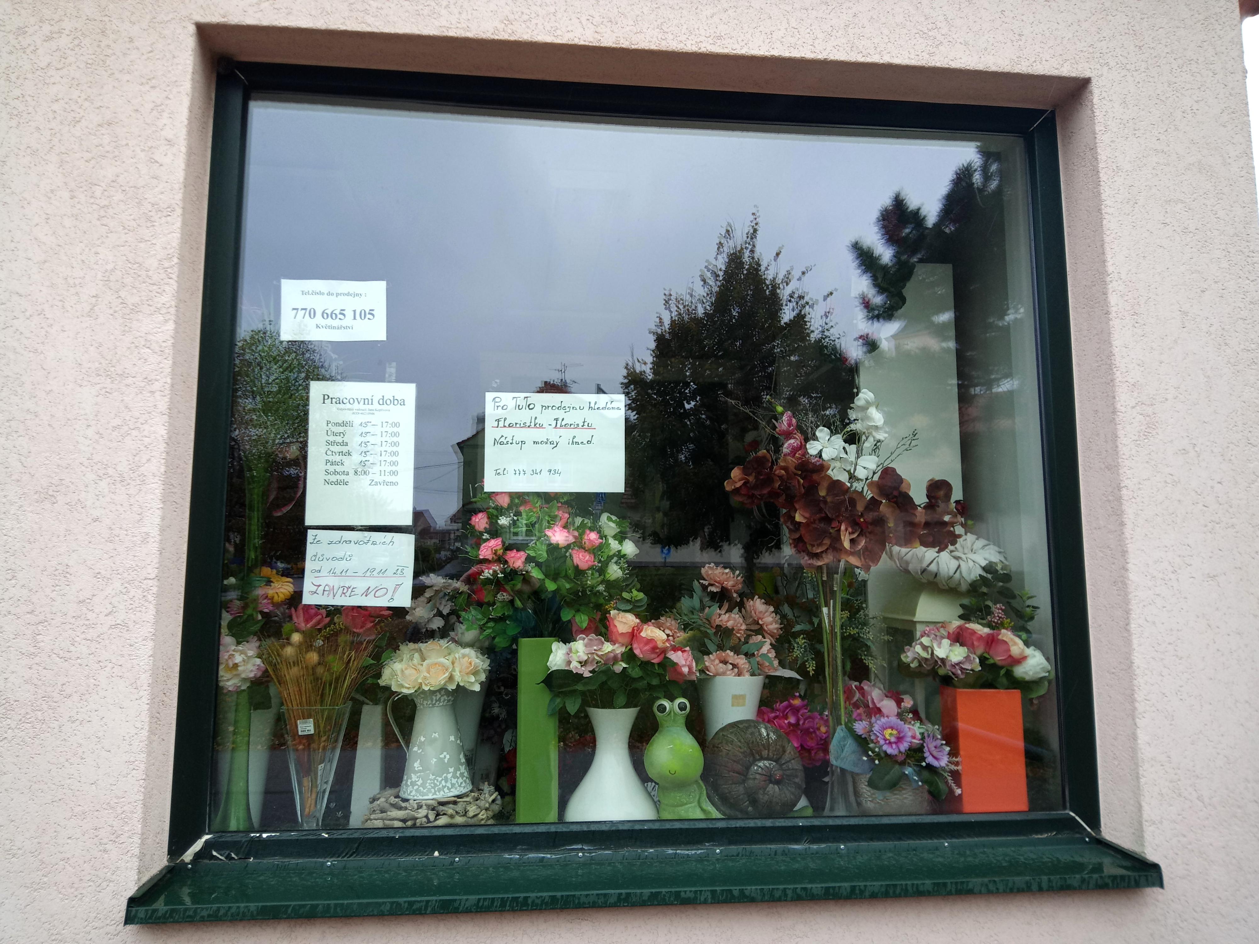 Jana Kopřivová - Květiny foto 4