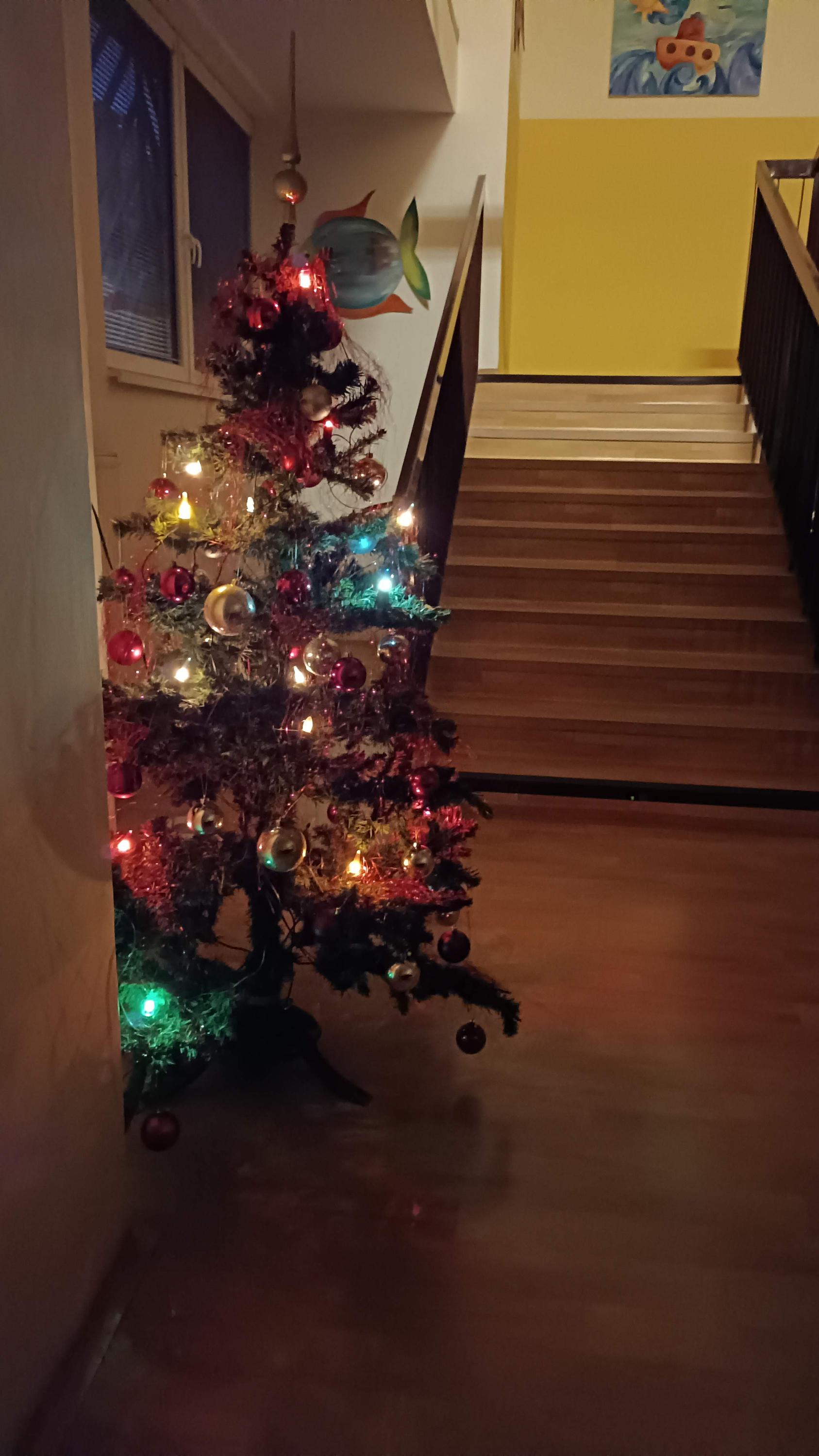 Krytý bazén ZŠ a MŠ Český Těšín Pod Zvonek foto 3