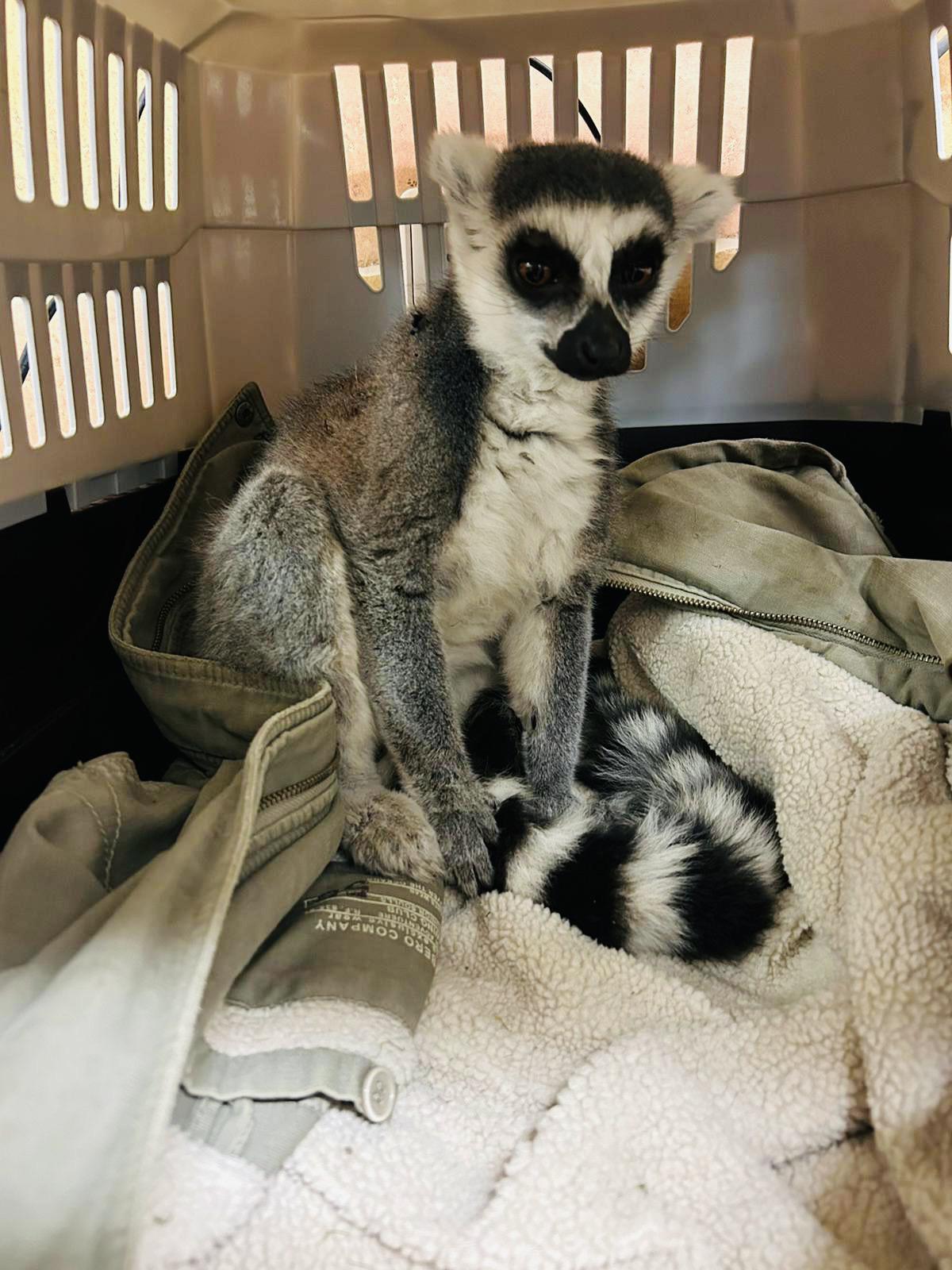 MVDr. Oldřich Poříz foto 3