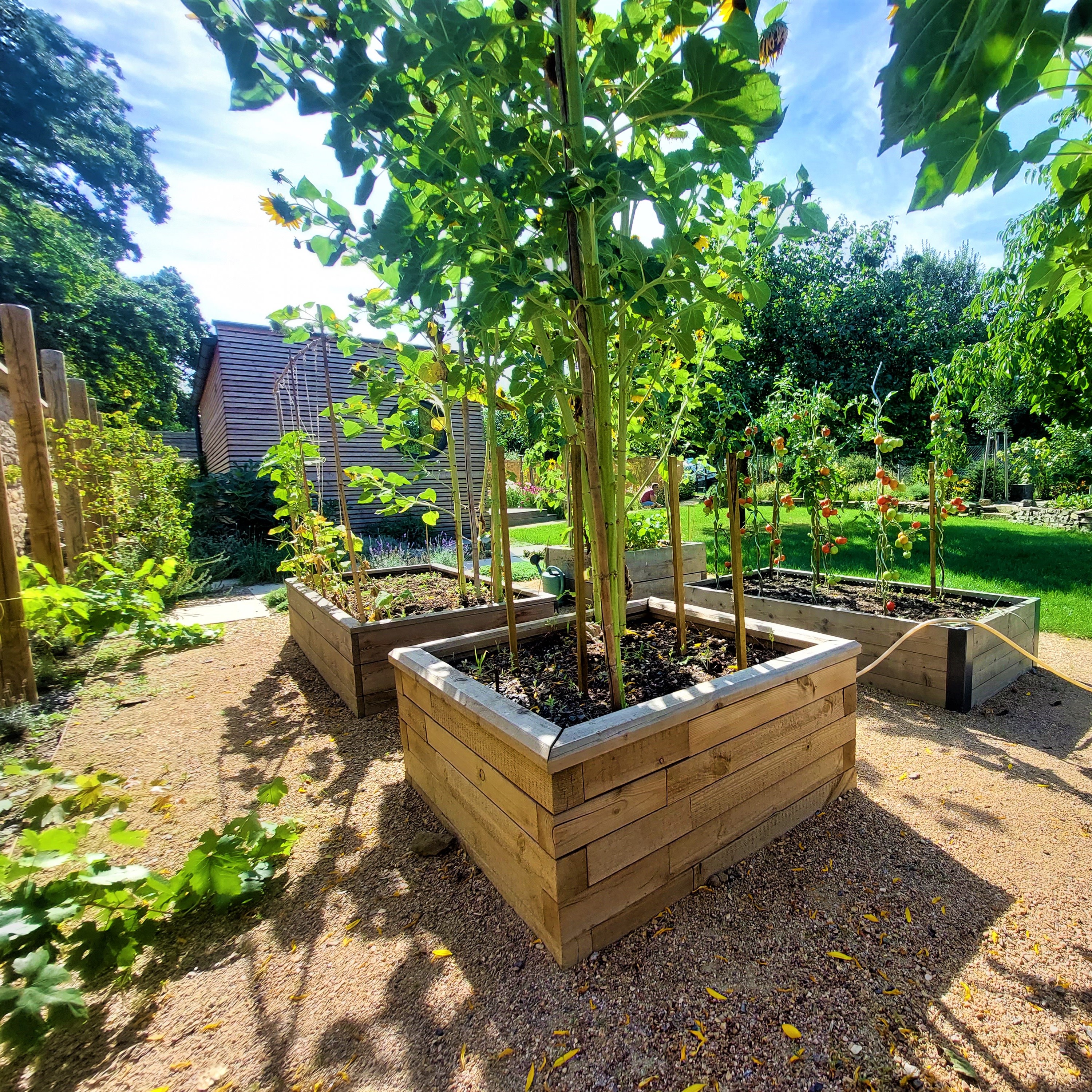 JAMI Gardens - letní ateliér foto 5