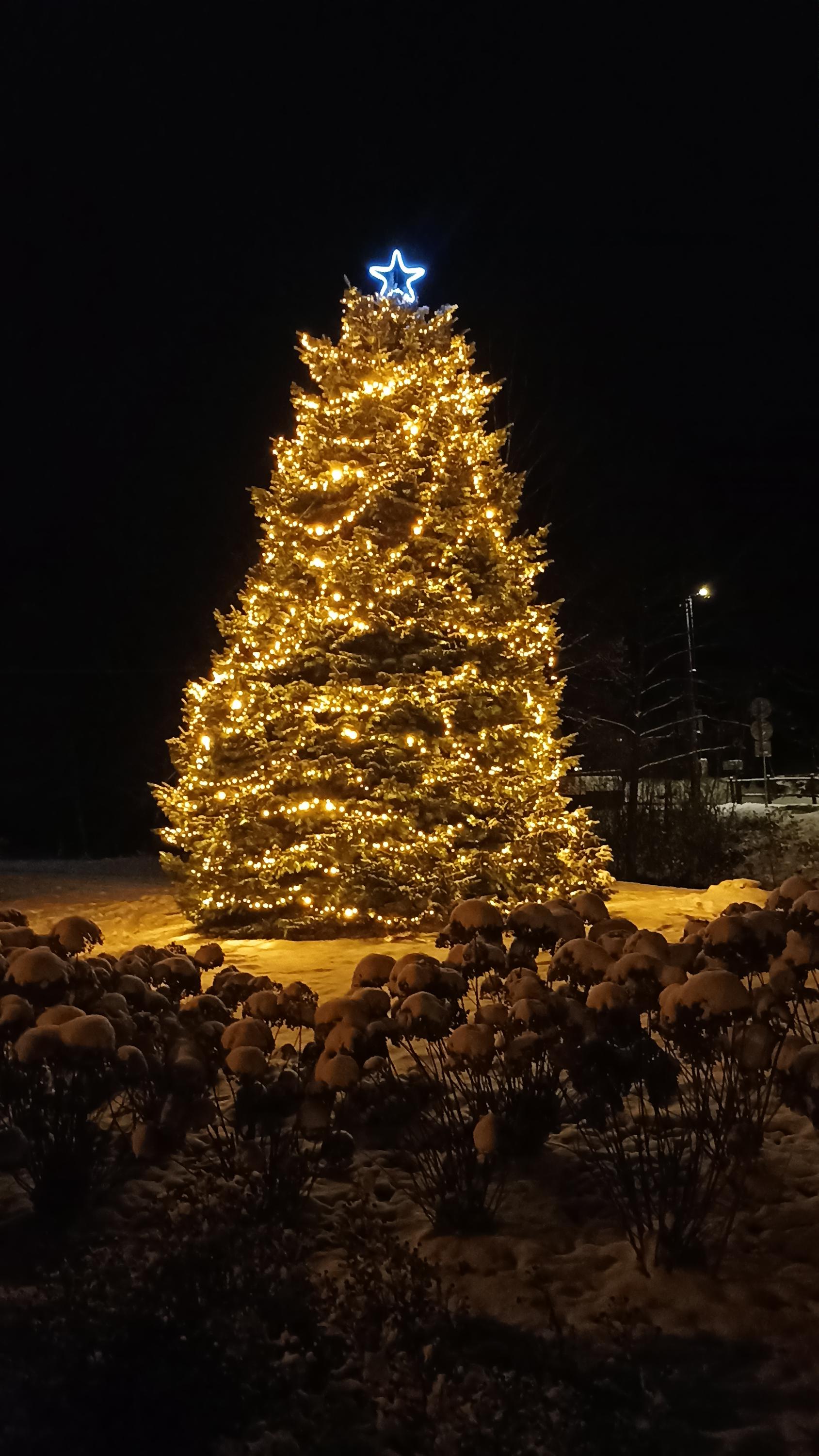 Dolní Moravice - obecní úřad foto 3