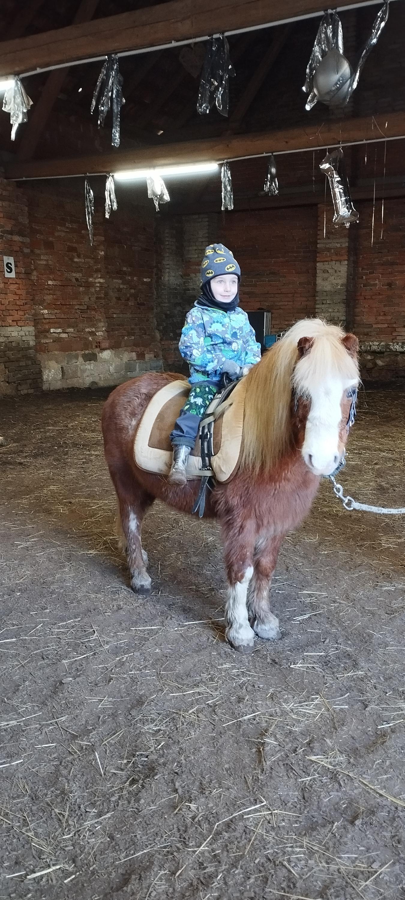 Jezdecký spolek Denisa foto 4