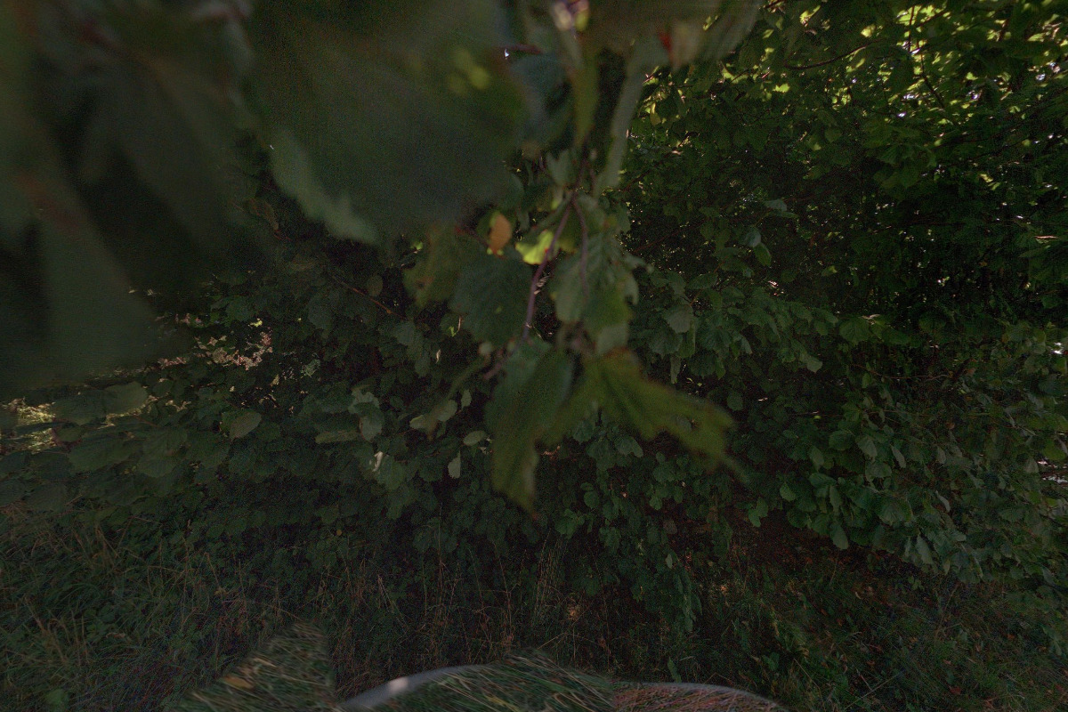 Předškolní klub Mraveniště