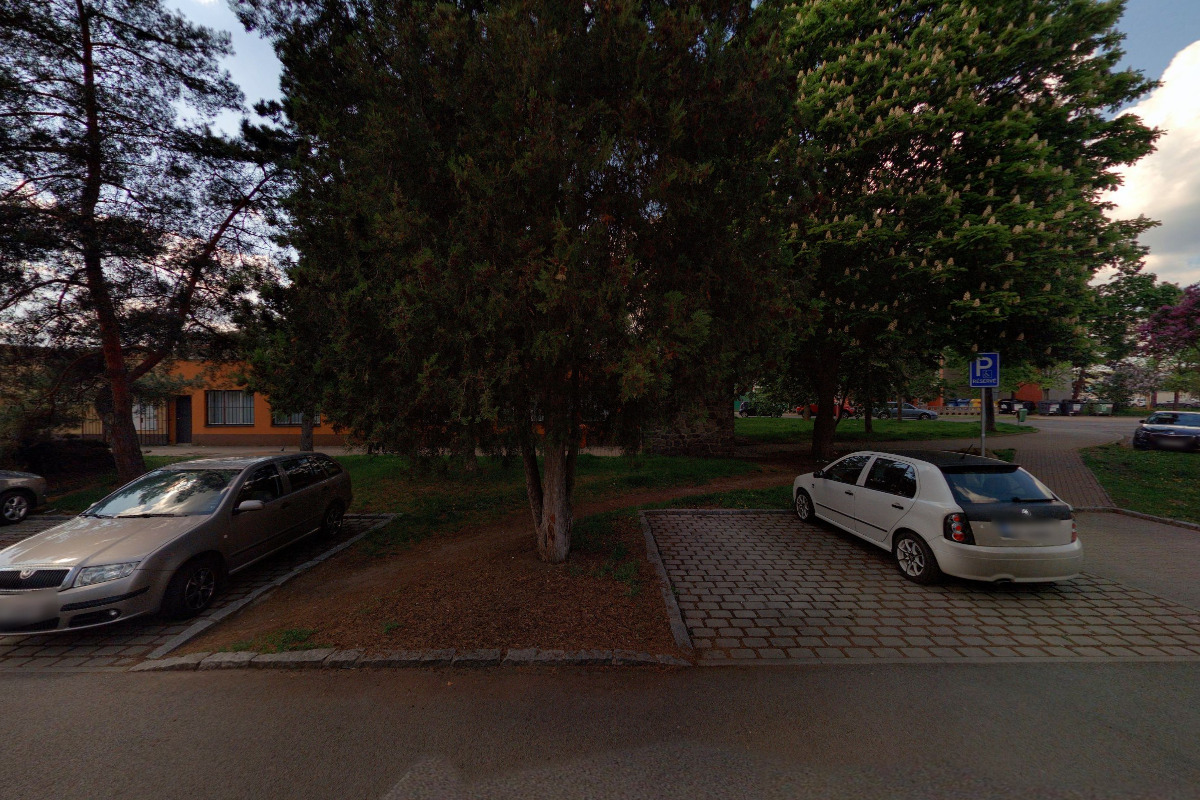 MUDr. ZUZANA ANDRÝSKOVÁ MARCIBÁLOVÁ foto 1