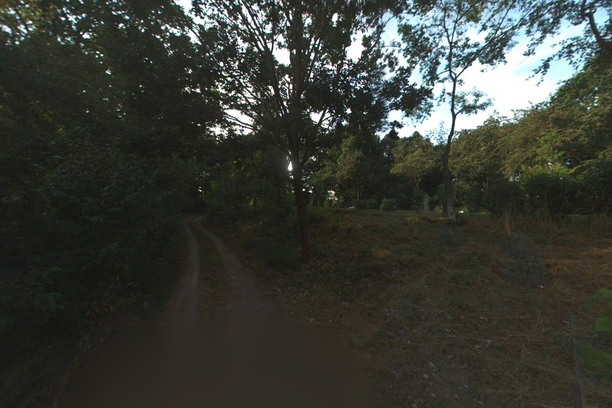 Mgr. Kateřina Boháčová - Anglické překlady