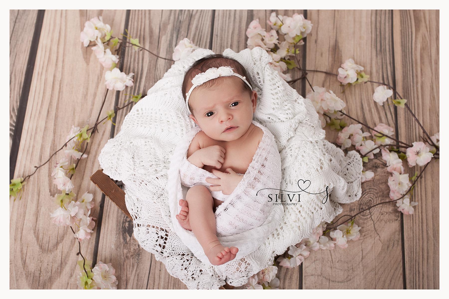 Silviphotography foto 2
