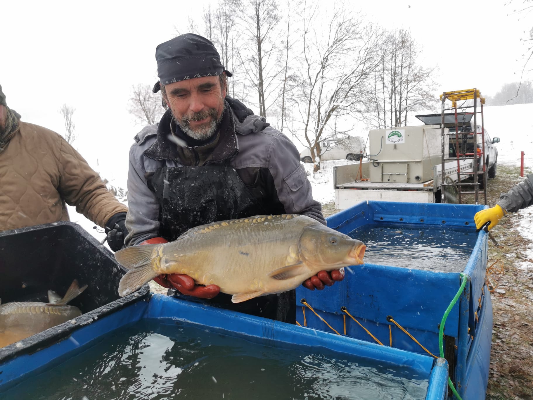 Radomil Macek - Vánoční kapři i další ryby foto 4