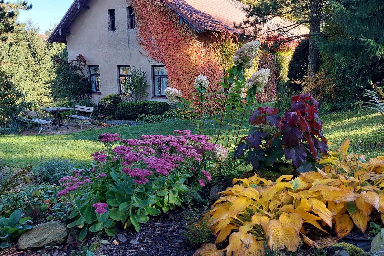 Michal Martinek - V Louce.cz