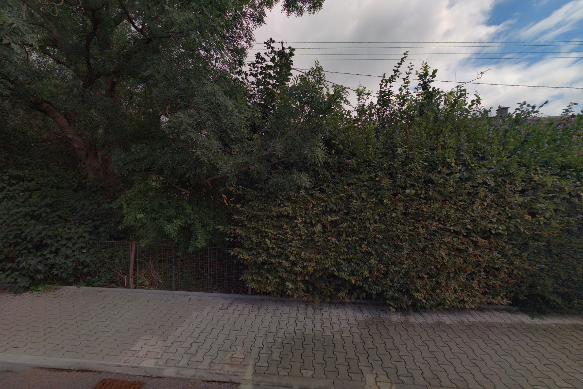 Tělocvičná jednota Sokol Běloves foto 2