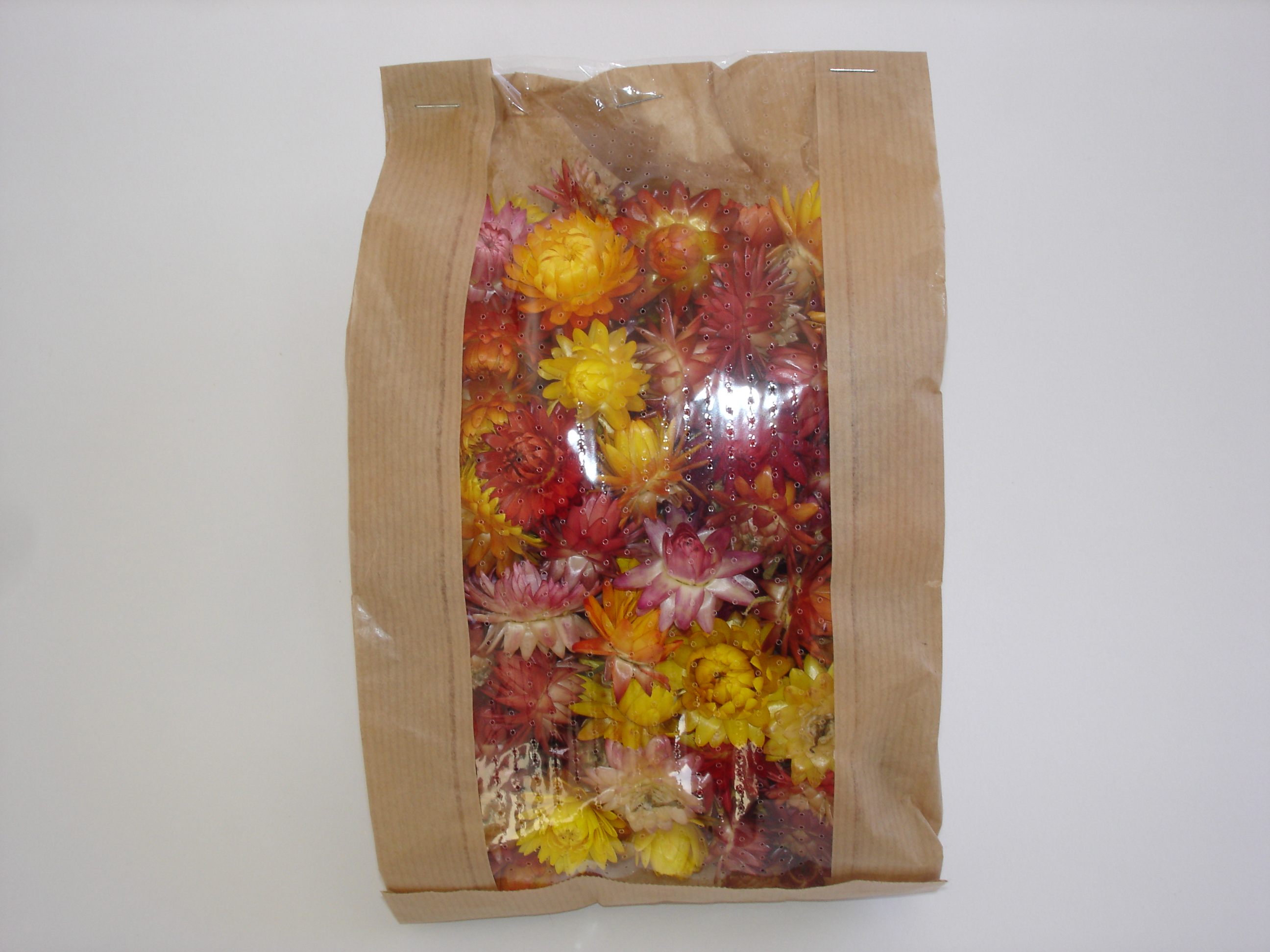 Sušené květiny - Stanislav Šafránek foto 3