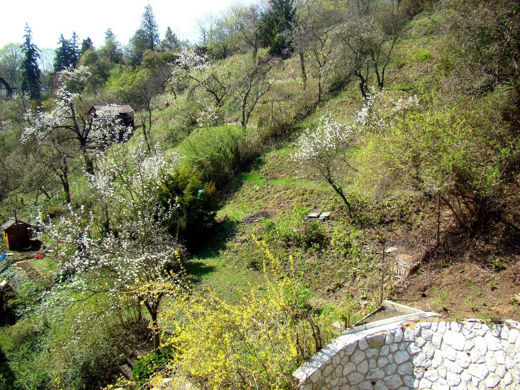 Penzion Grohova foto 5