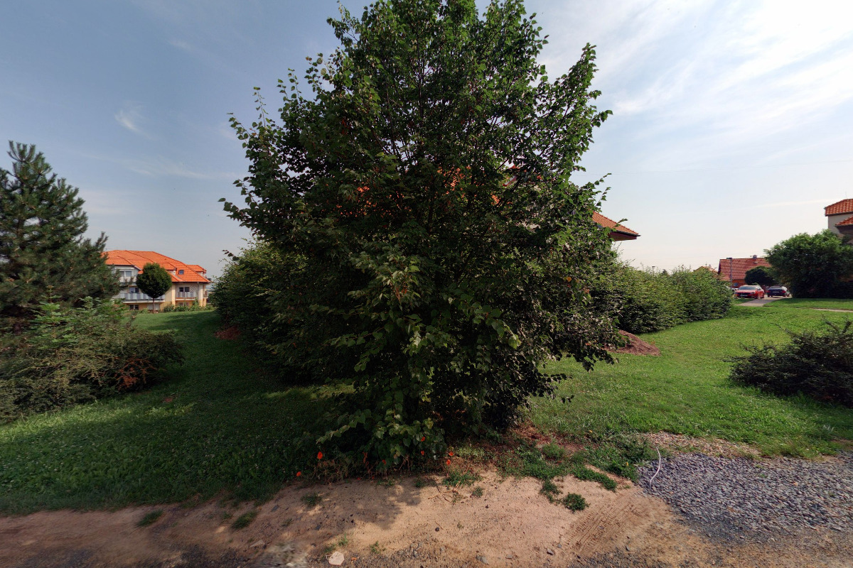 Barbora Žemličková - Rosabella