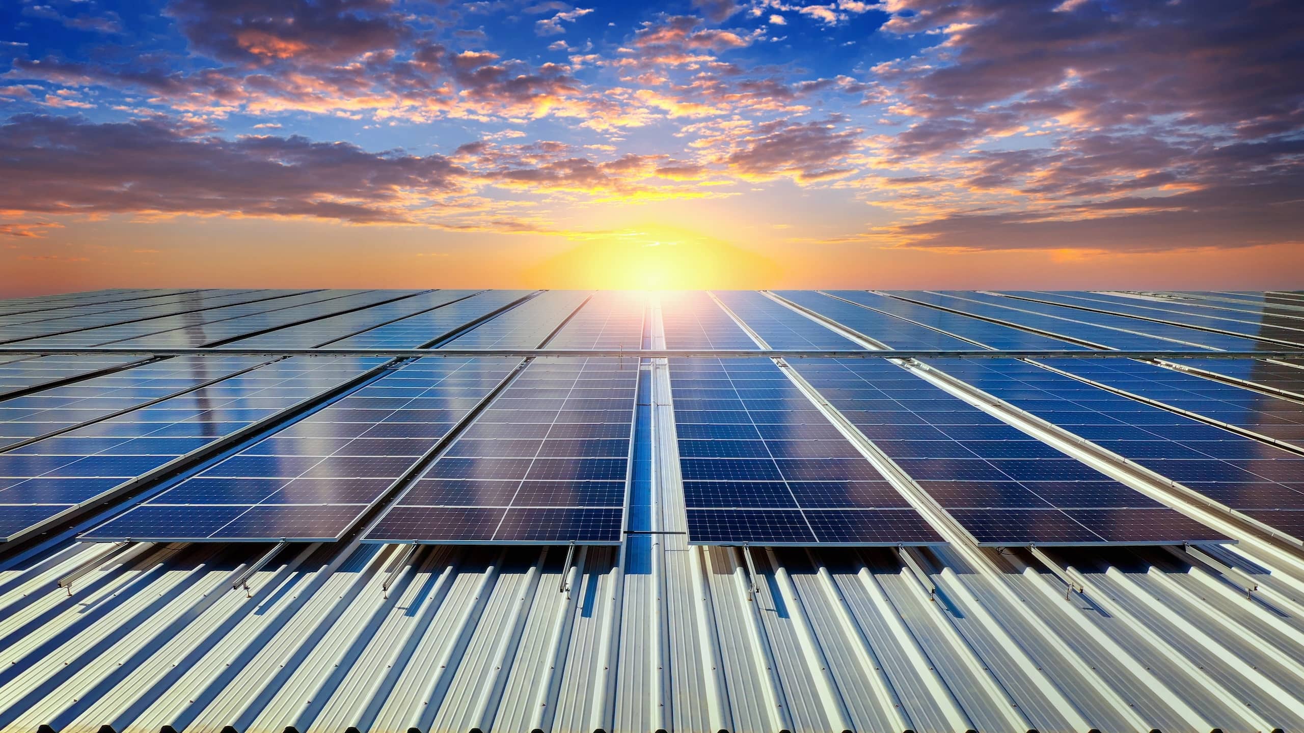 SOLAR BARON foto 2