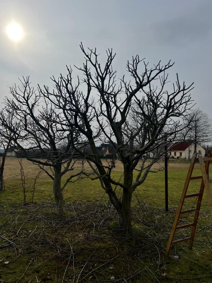 Realizace a údržba zahrad - Zelená péče foto 5