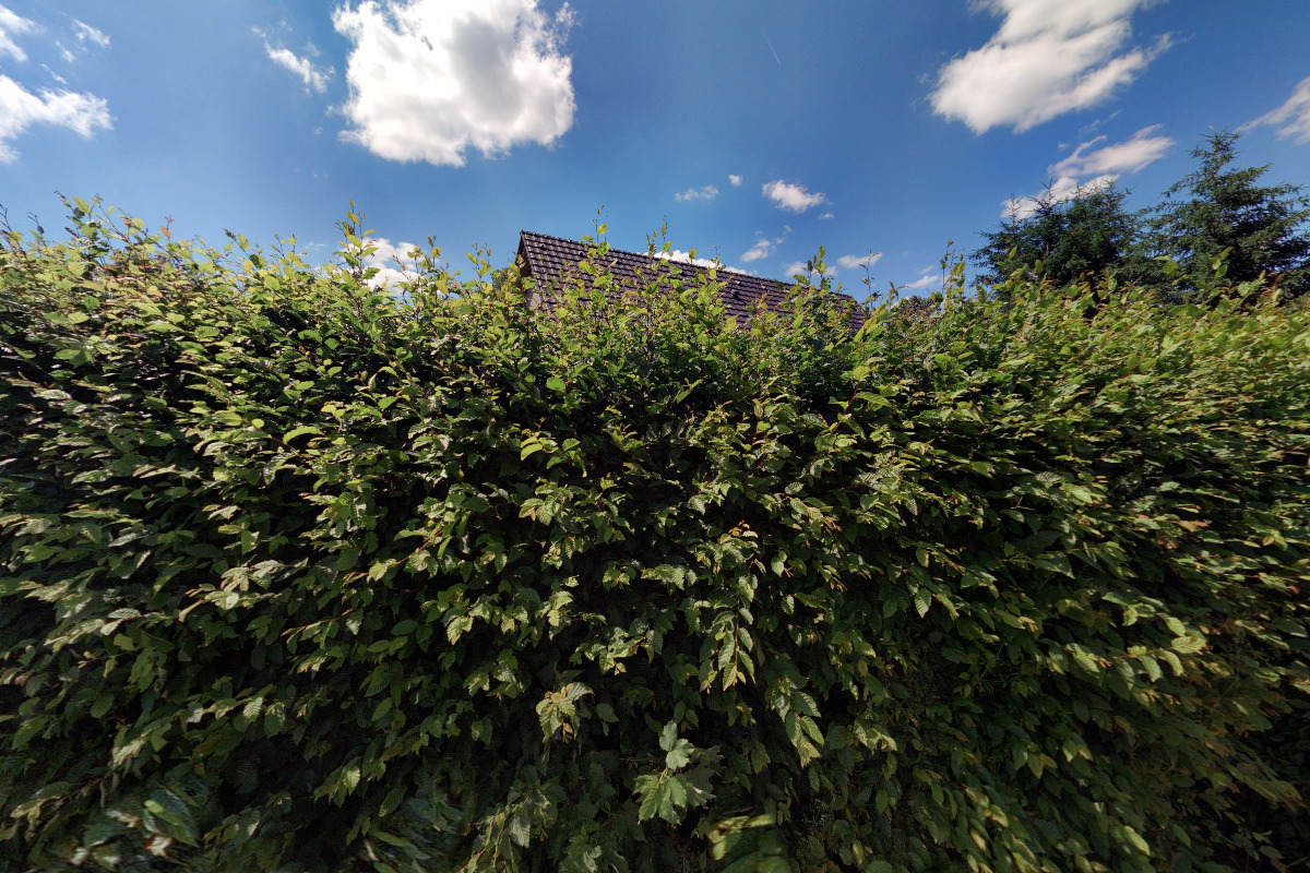 Fischer rekonstrukce