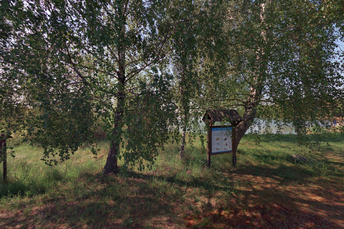 Sportovní rybolov - Rybník Struhy foto 2