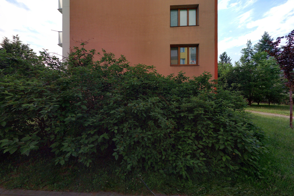 Miroslav Habich foto 2