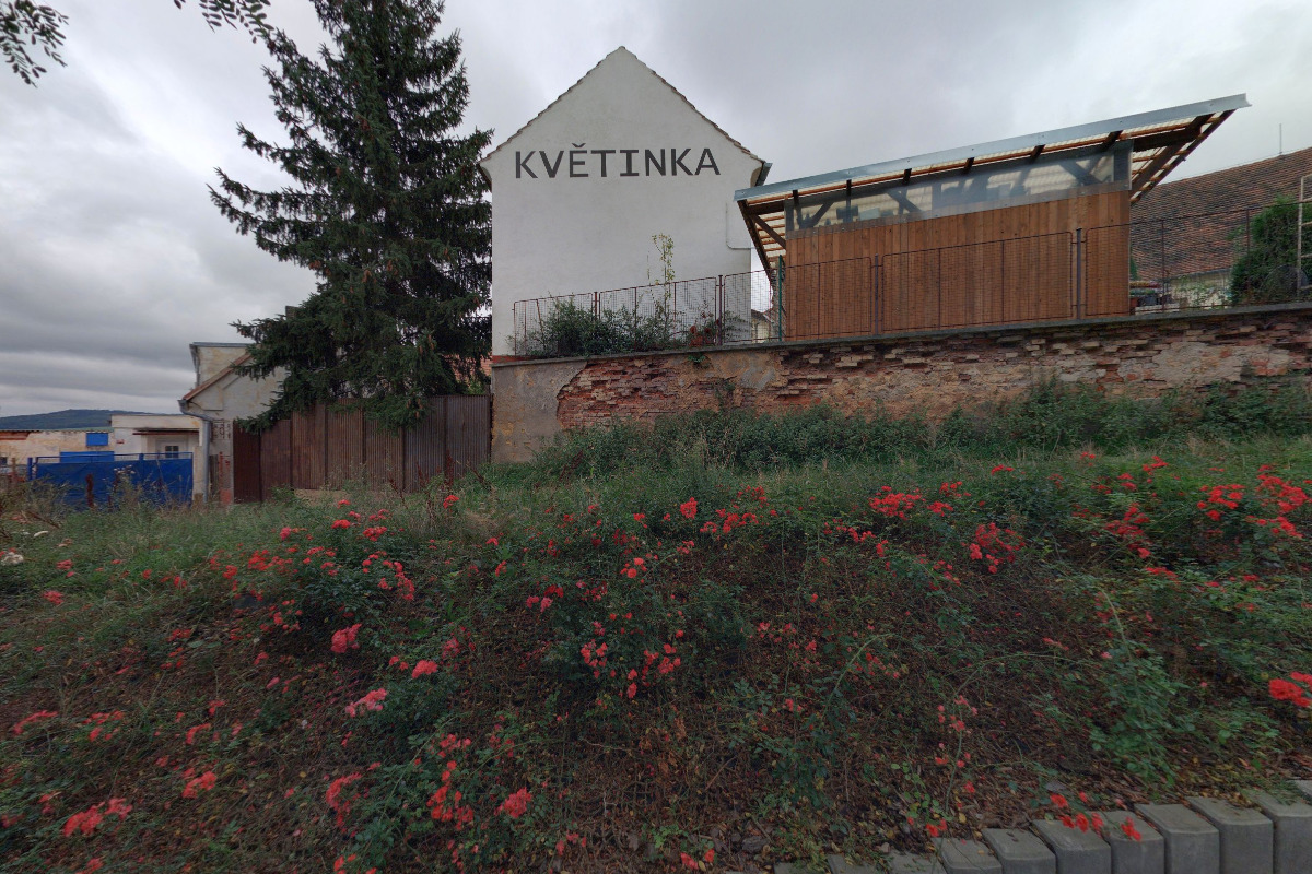 Květinka Blanka foto 4