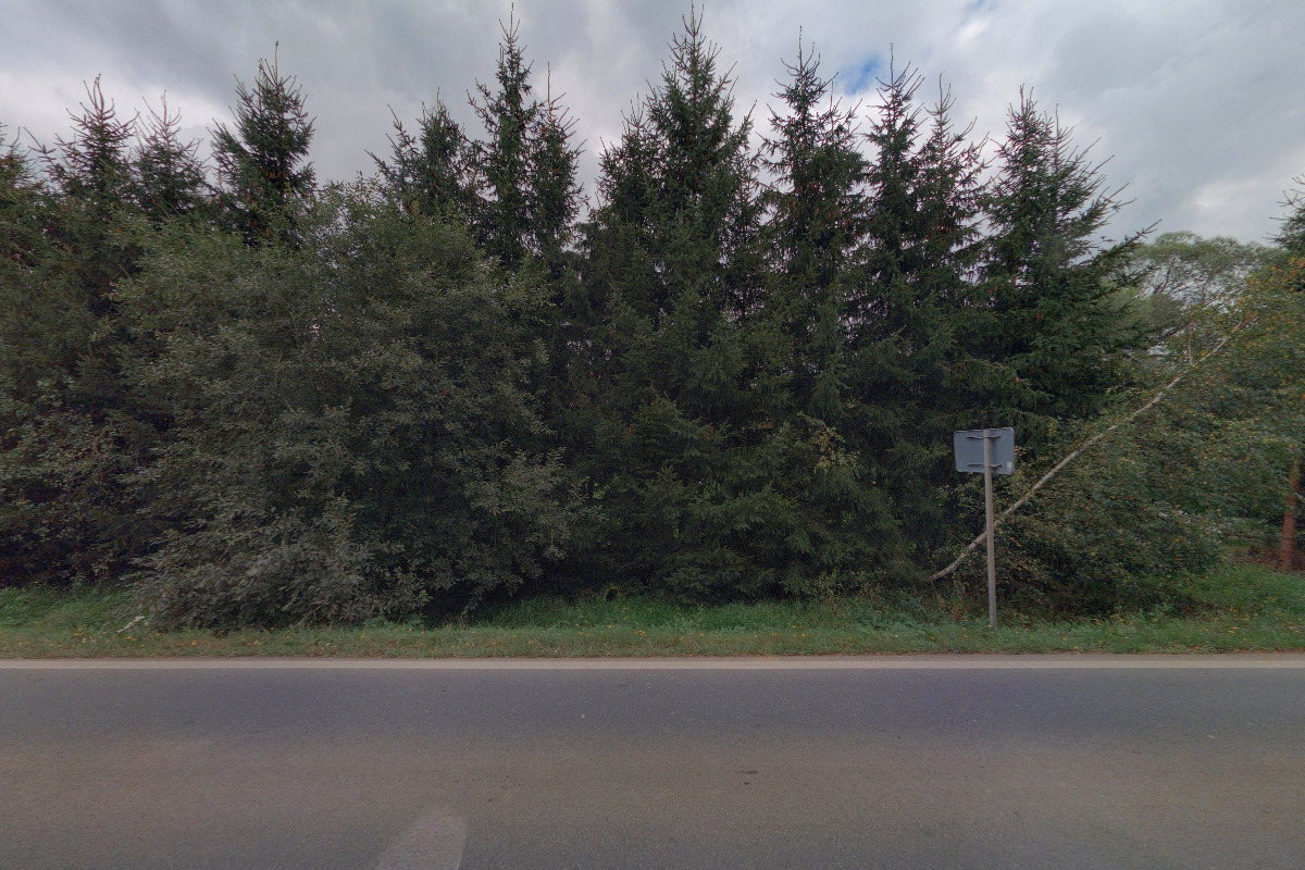 Kontejnerová autodoprava Bešta foto 4