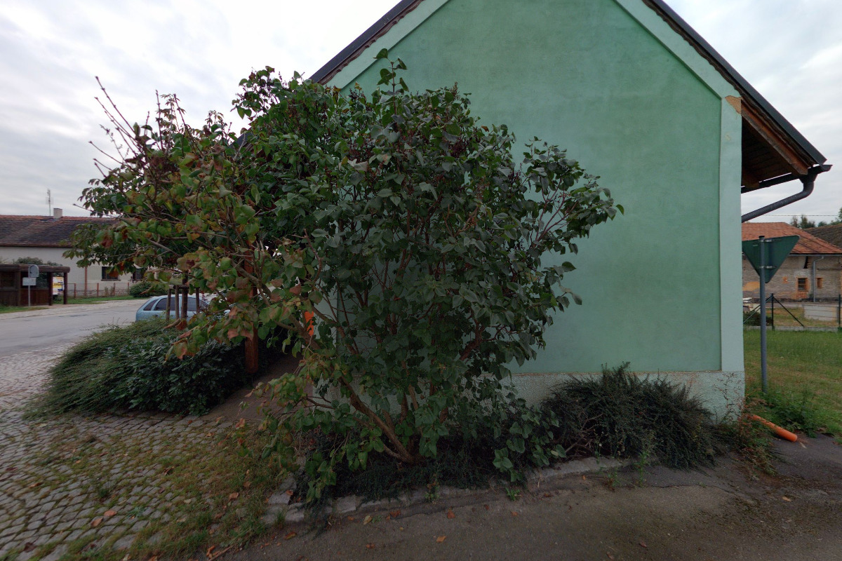 Obecní knihovna Milínov foto 2