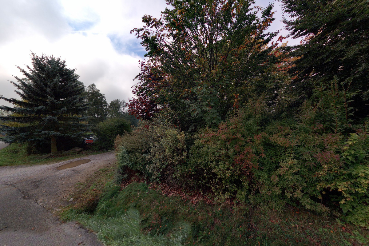 Premiovehovezi.cz foto 2