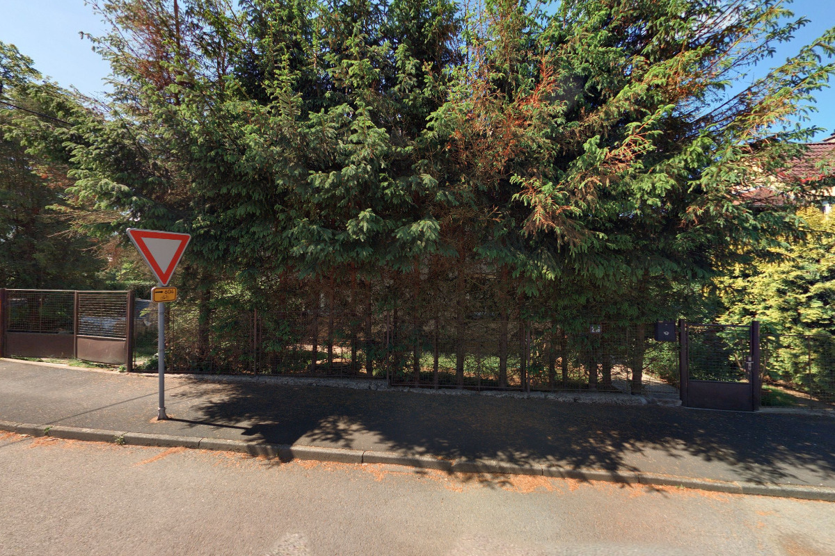 DANĚ MIKULECKÁ, s.r.o.