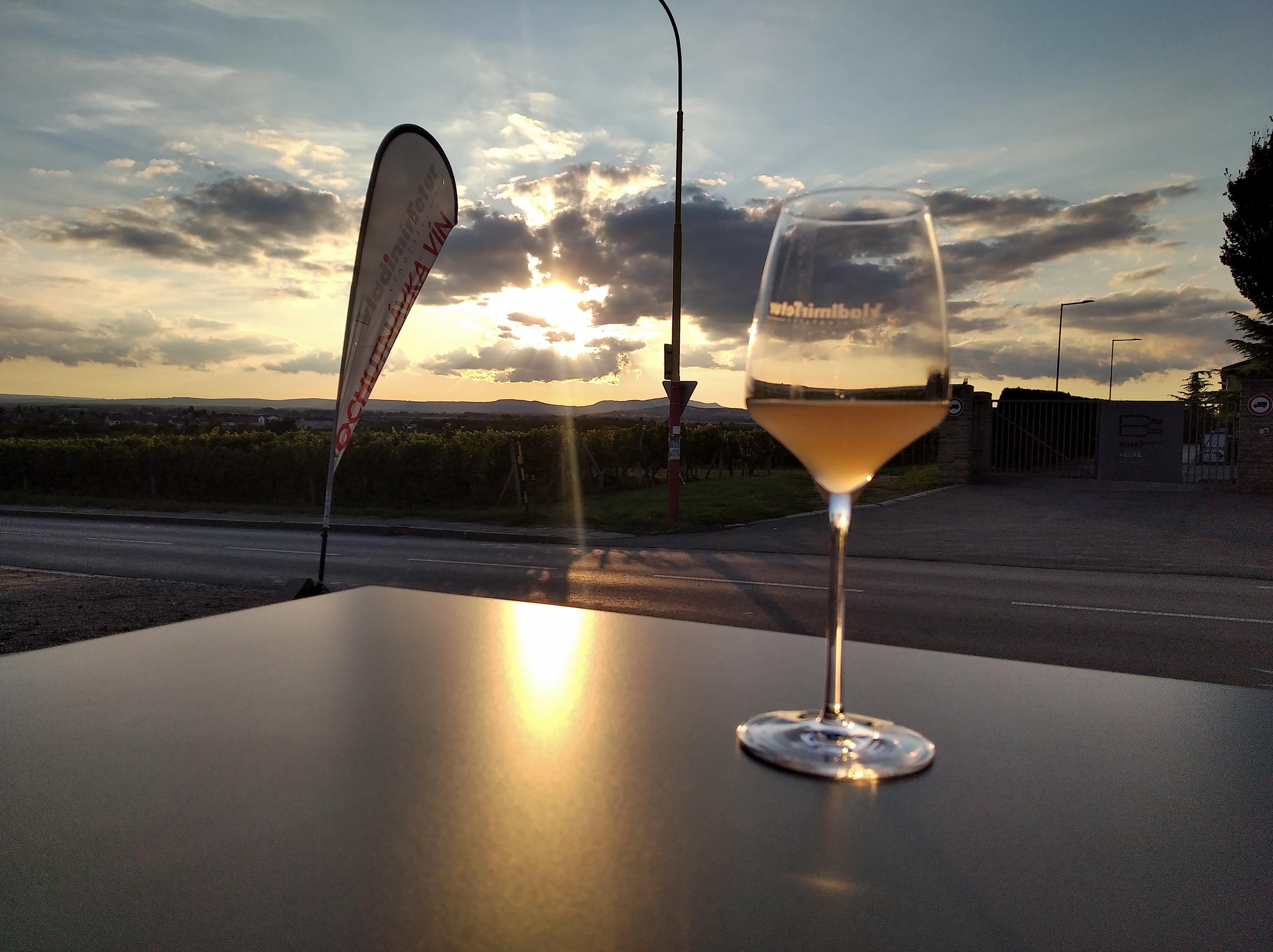 Rodinné vinařství Skoupil s.r.o. foto 6