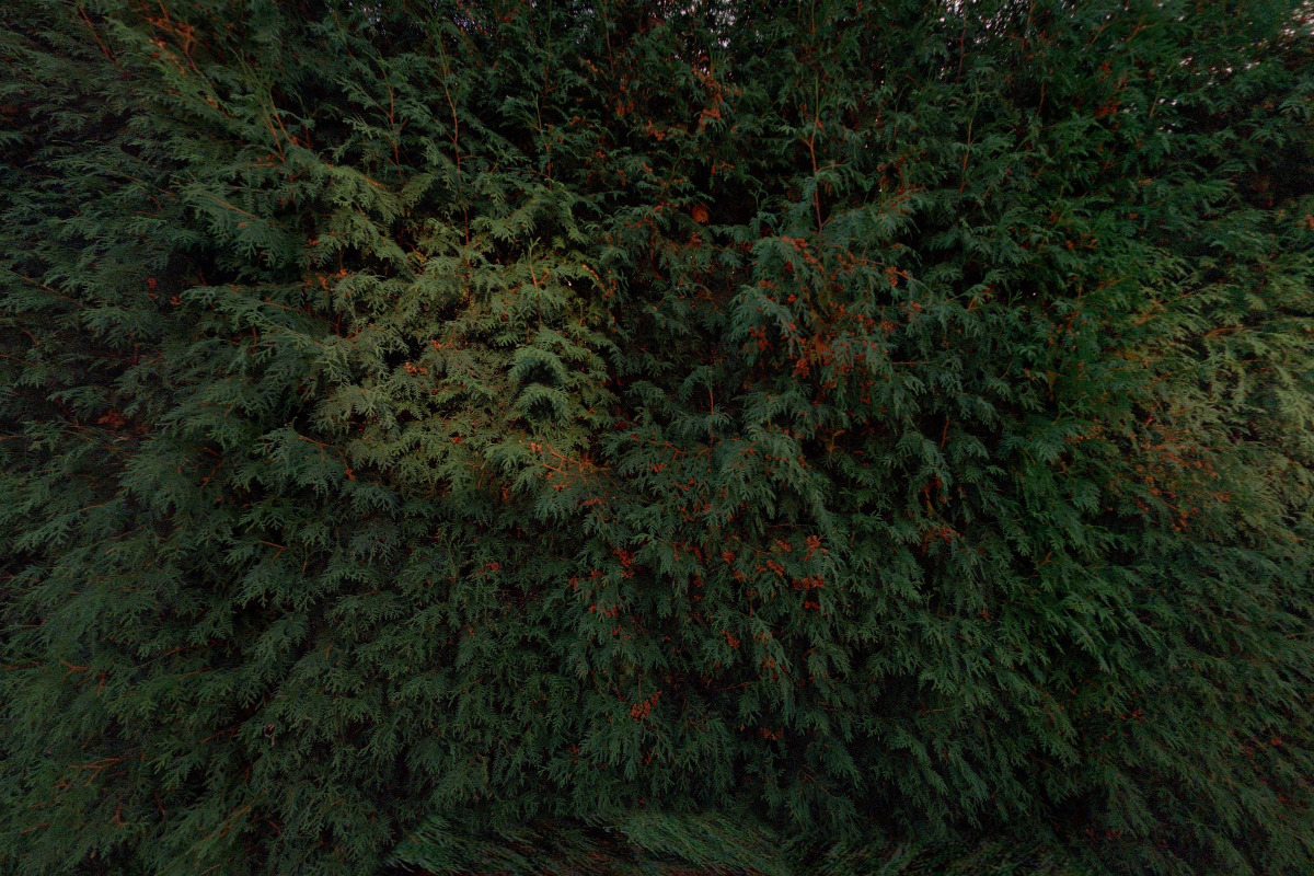 HPM Lubomír Škopec - DIAGNOSTIKA, OPRAVY A SERVIS