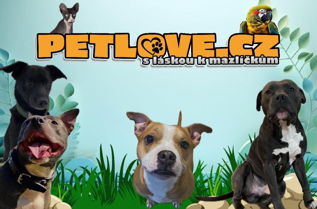 Petlove.cz foto 2