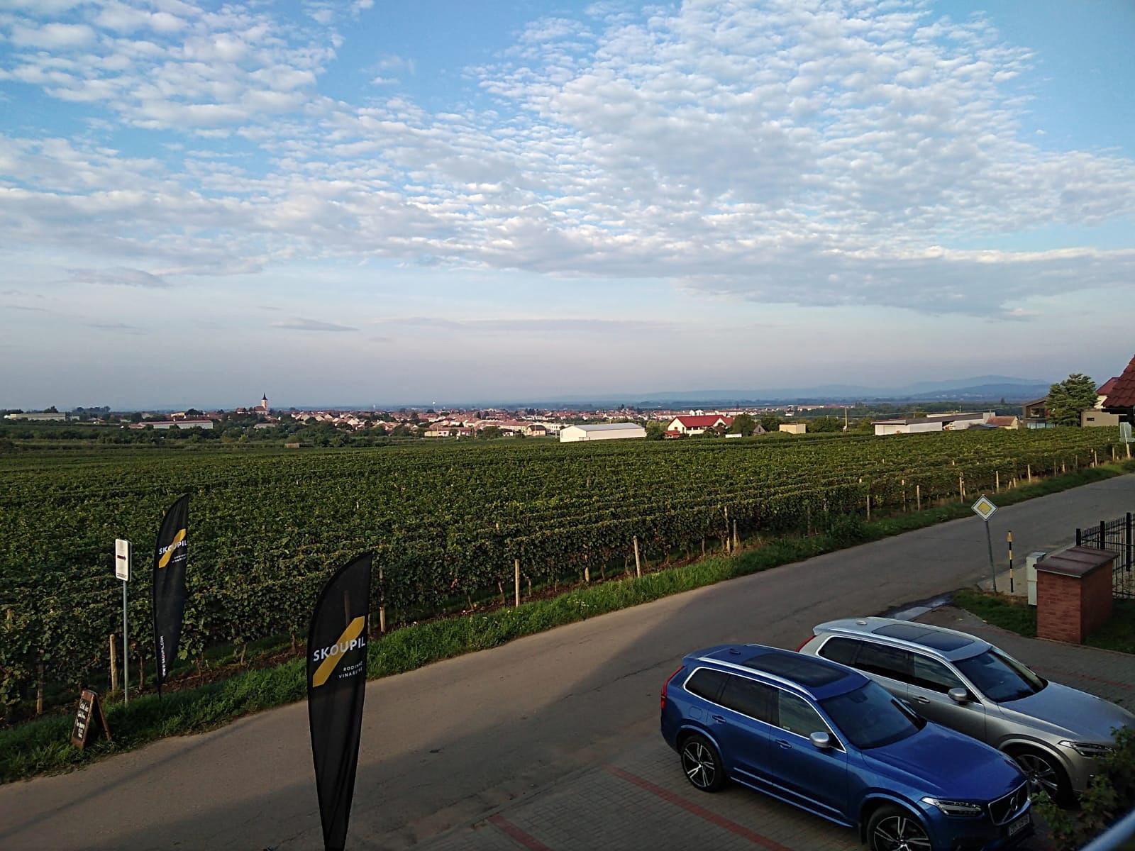 Rodinné vinařství Skoupil s.r.o. foto 3