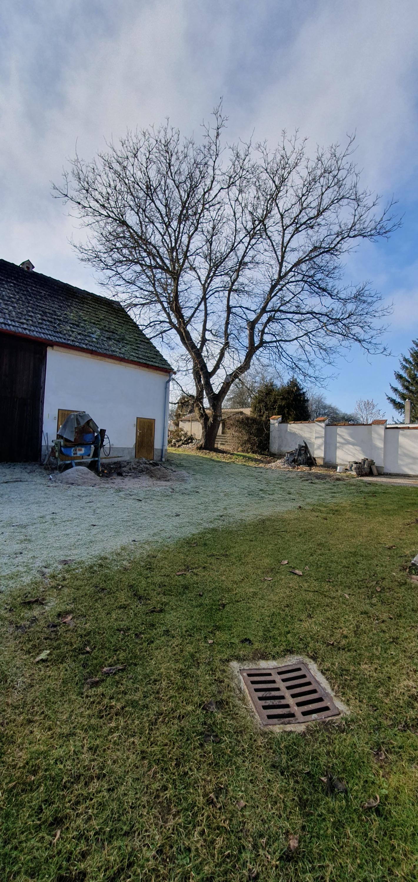 Rizikové kácení Milan Tolar foto 2