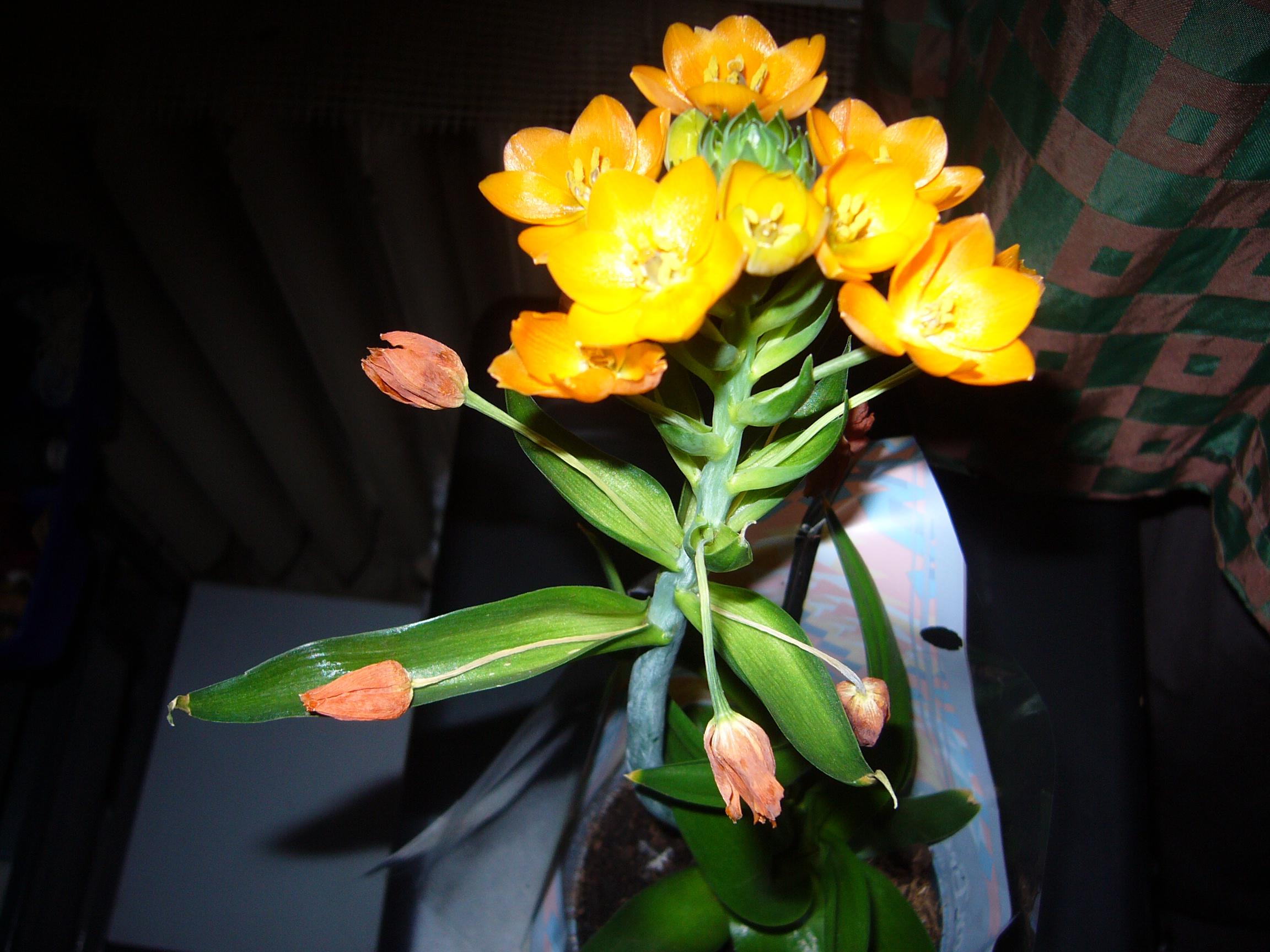 Domov pro seniory Okružní foto 2