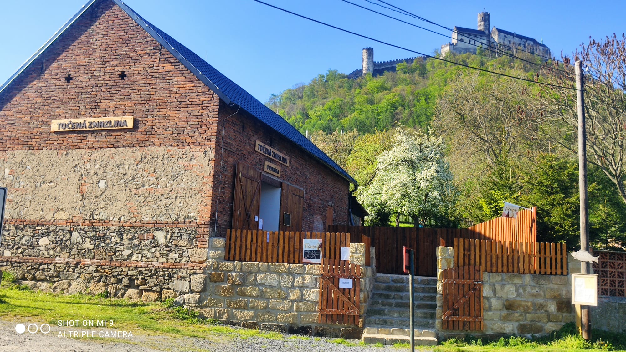 Točená zmrzlina u rybníka foto 2