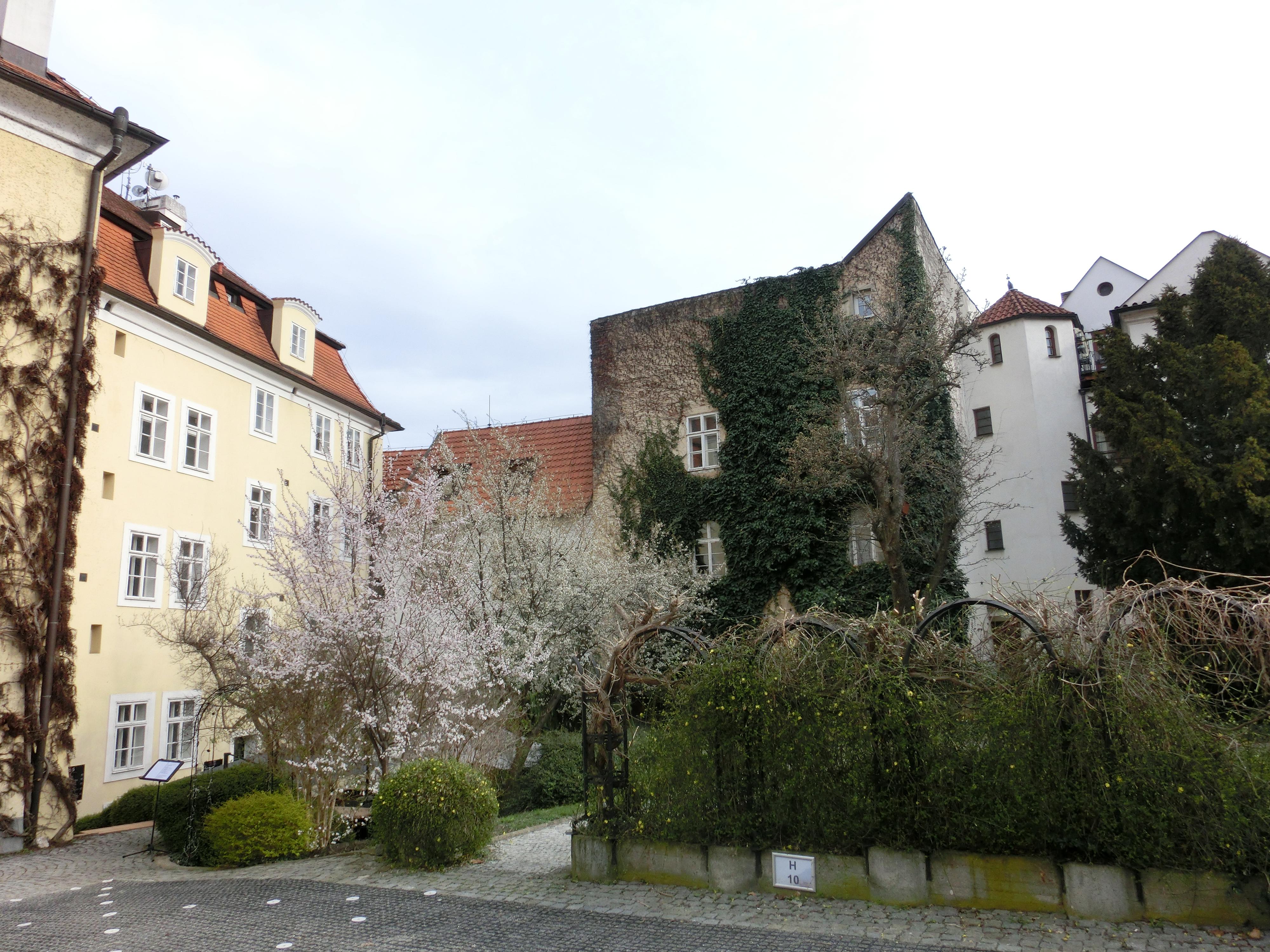 SANTINI GARDEN foto 1