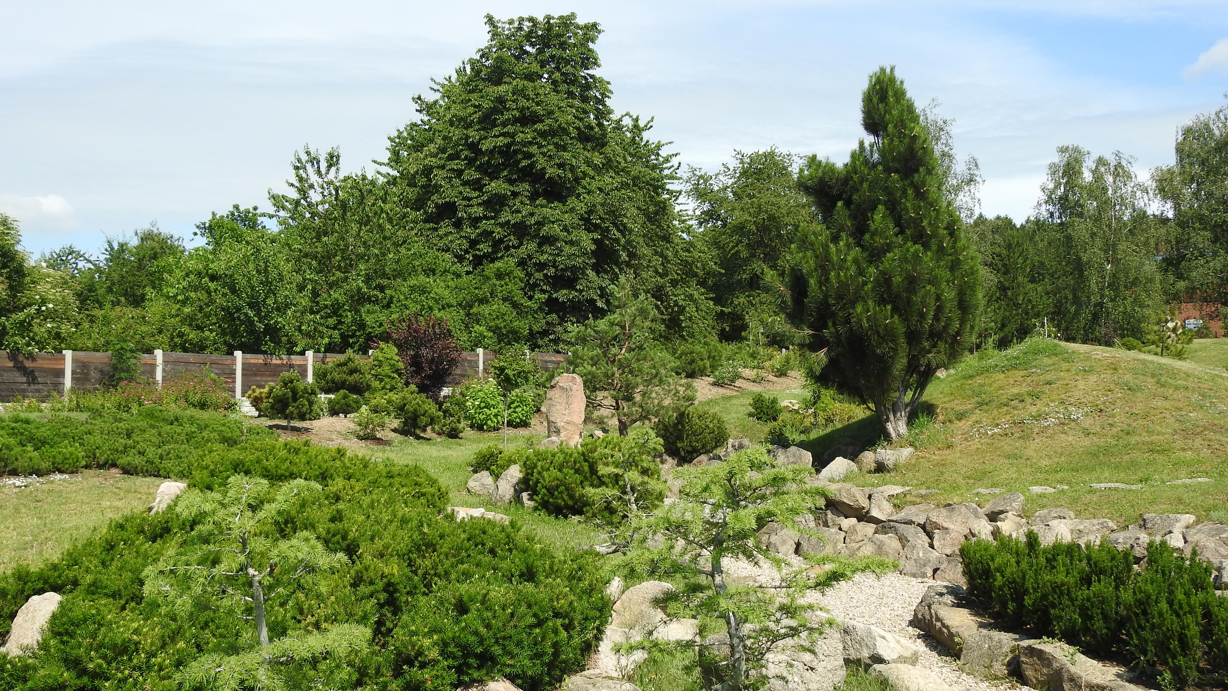 Aizen - japonská zahrada, o.p.s.