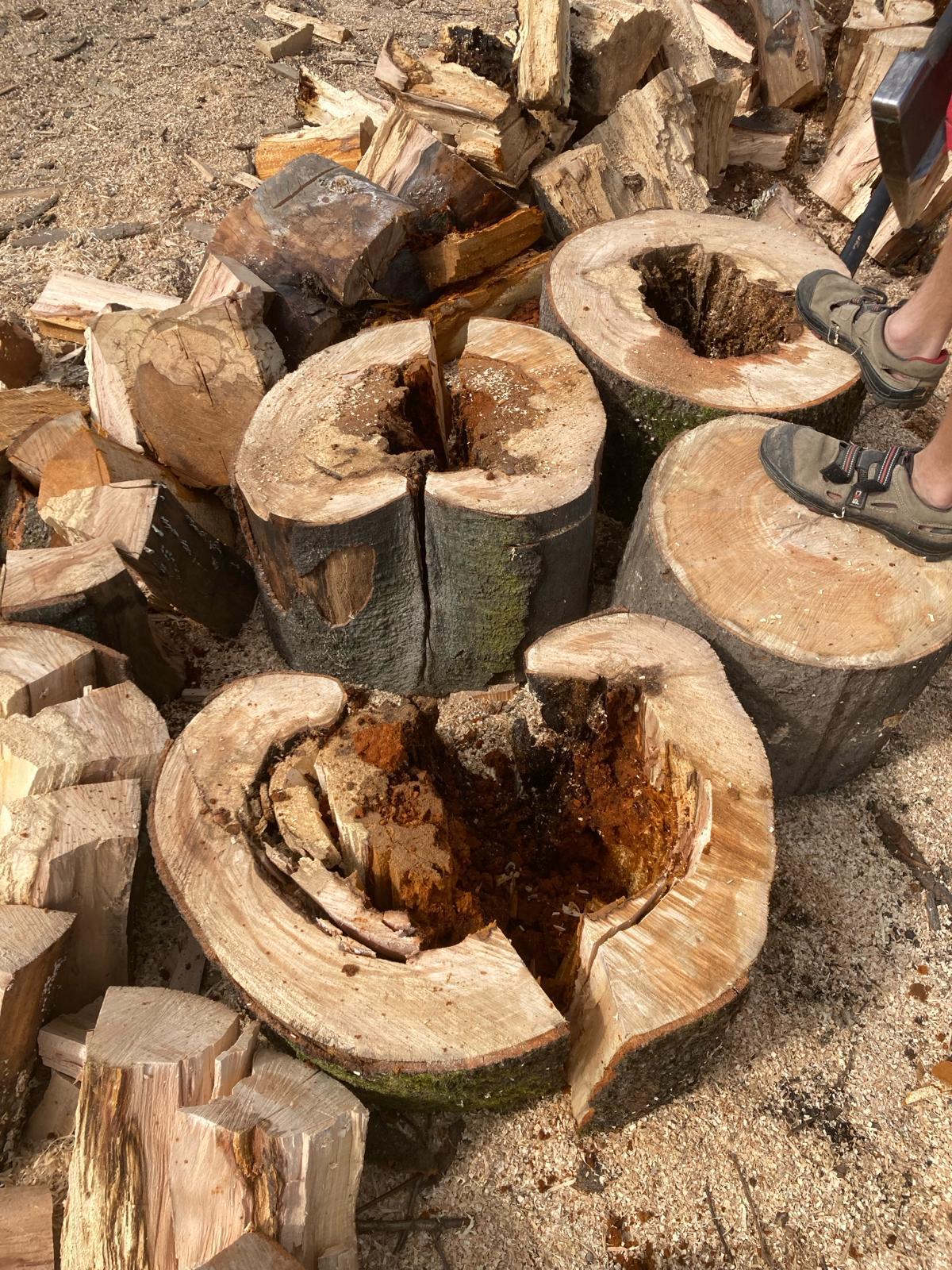 Palivové dřevo Morava - Slezsko, Házerová, s. r. o. foto 4