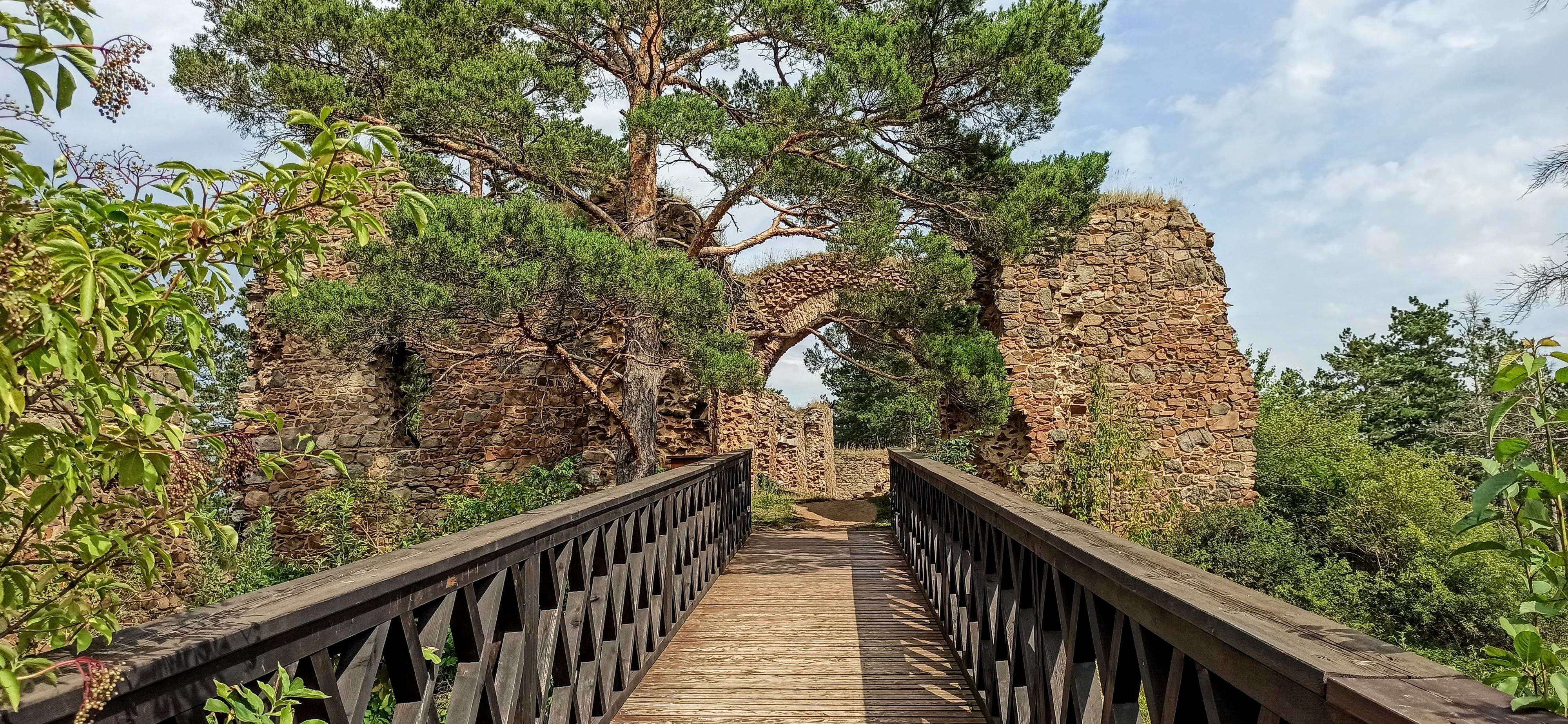 Zřícenina hradu Kamýk foto 5