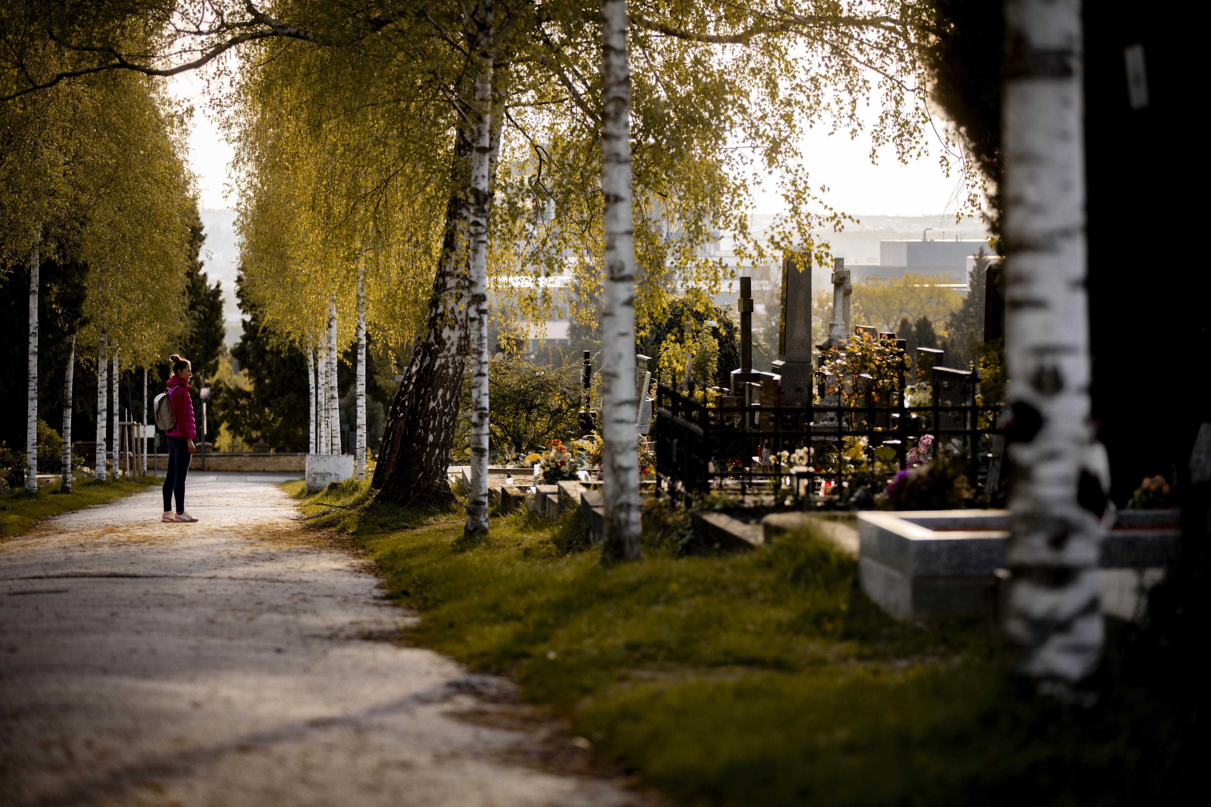 Správa hřbitovů města Brna