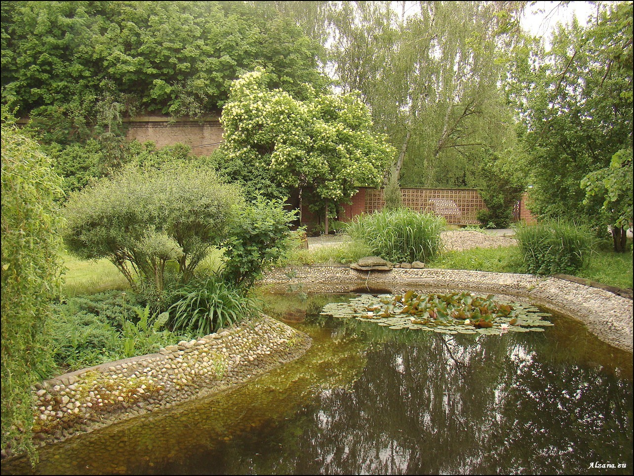 Zahrada léčivých rostlin Farmaceutické fakulty - Univerzita Karlova