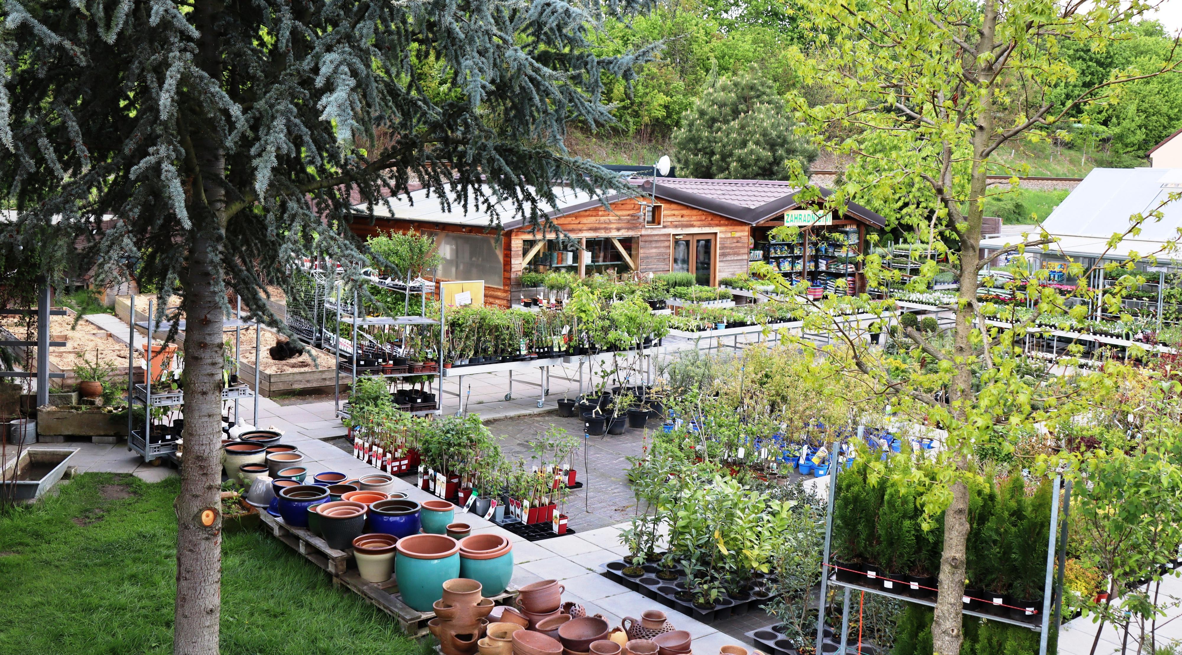 Zahradnictví Chrudim s.r.o. foto 2