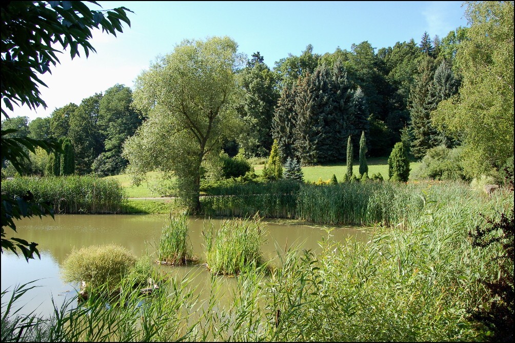 Arboretum - František Chlup foto 2