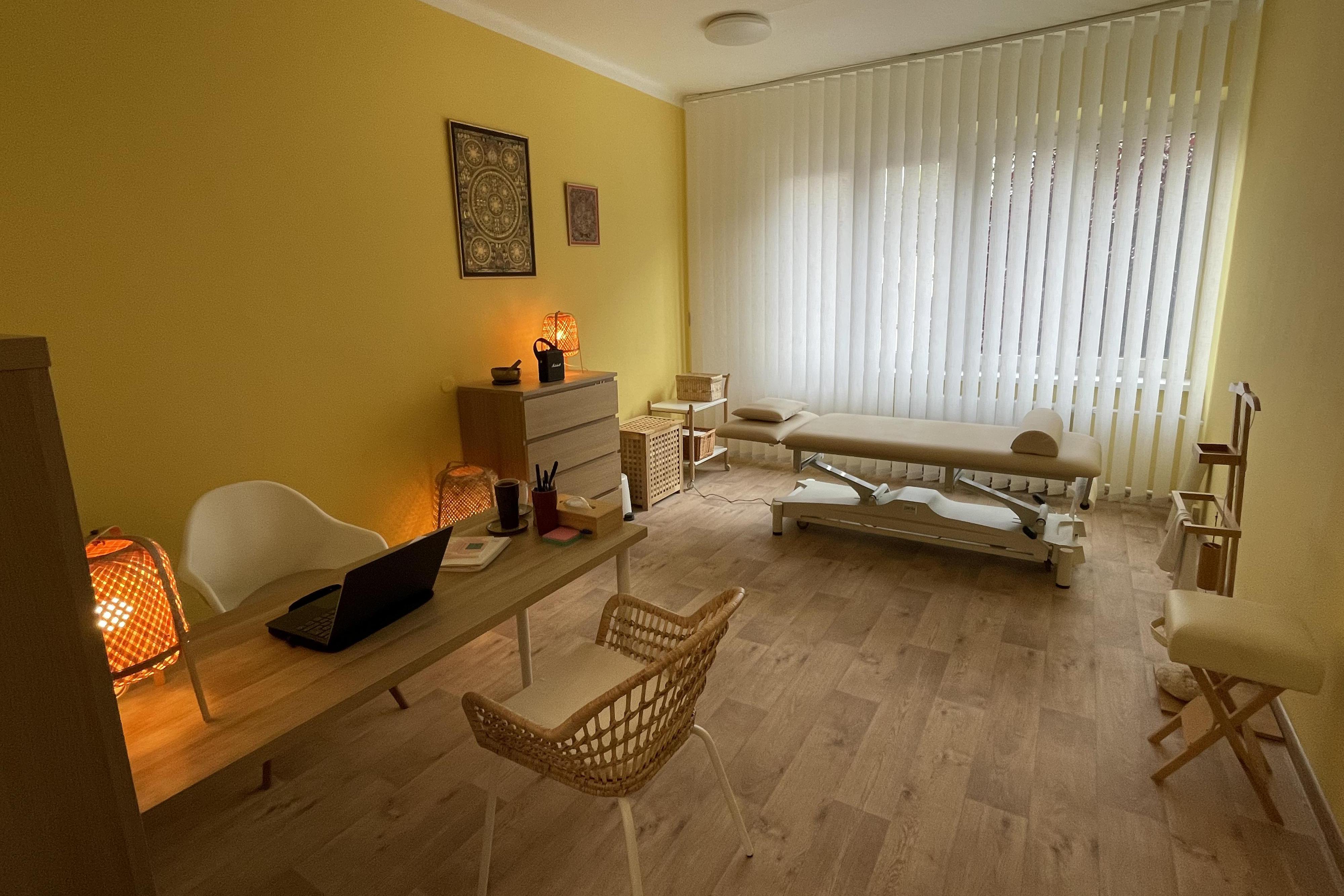 Tradiční čínská medicína - Dagmar Holčáková