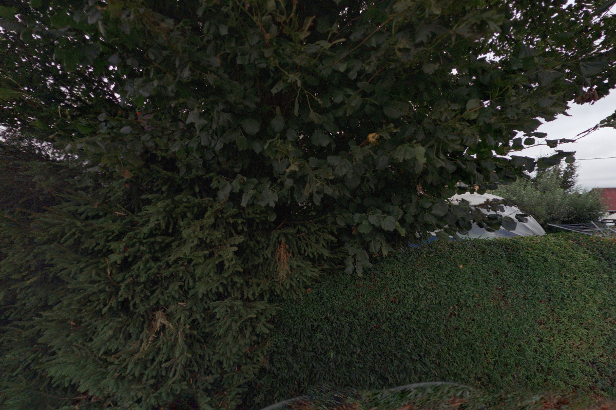 SH ČMS - Sbor dobrovolných hasičů Žďár nad Metují