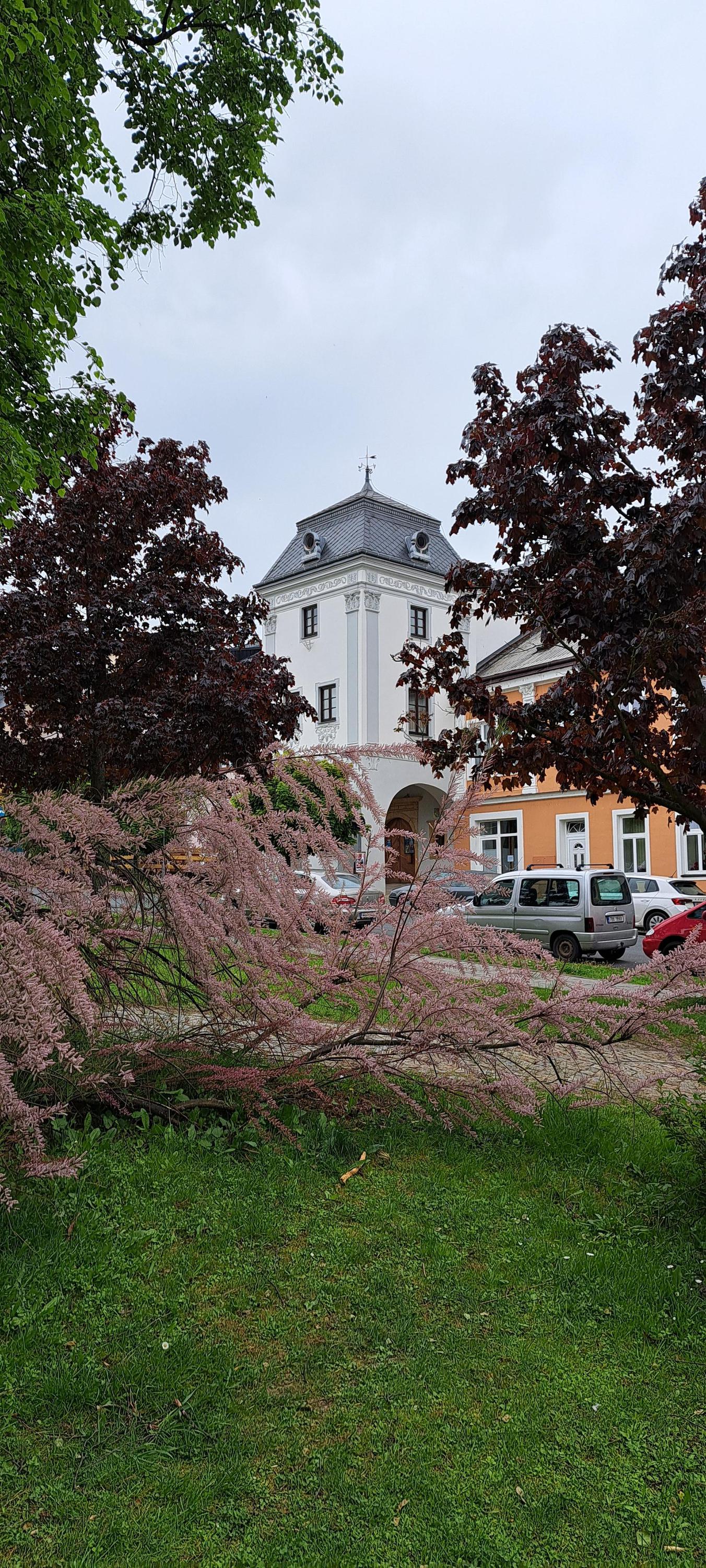 Muzeum Zábřeh foto 4