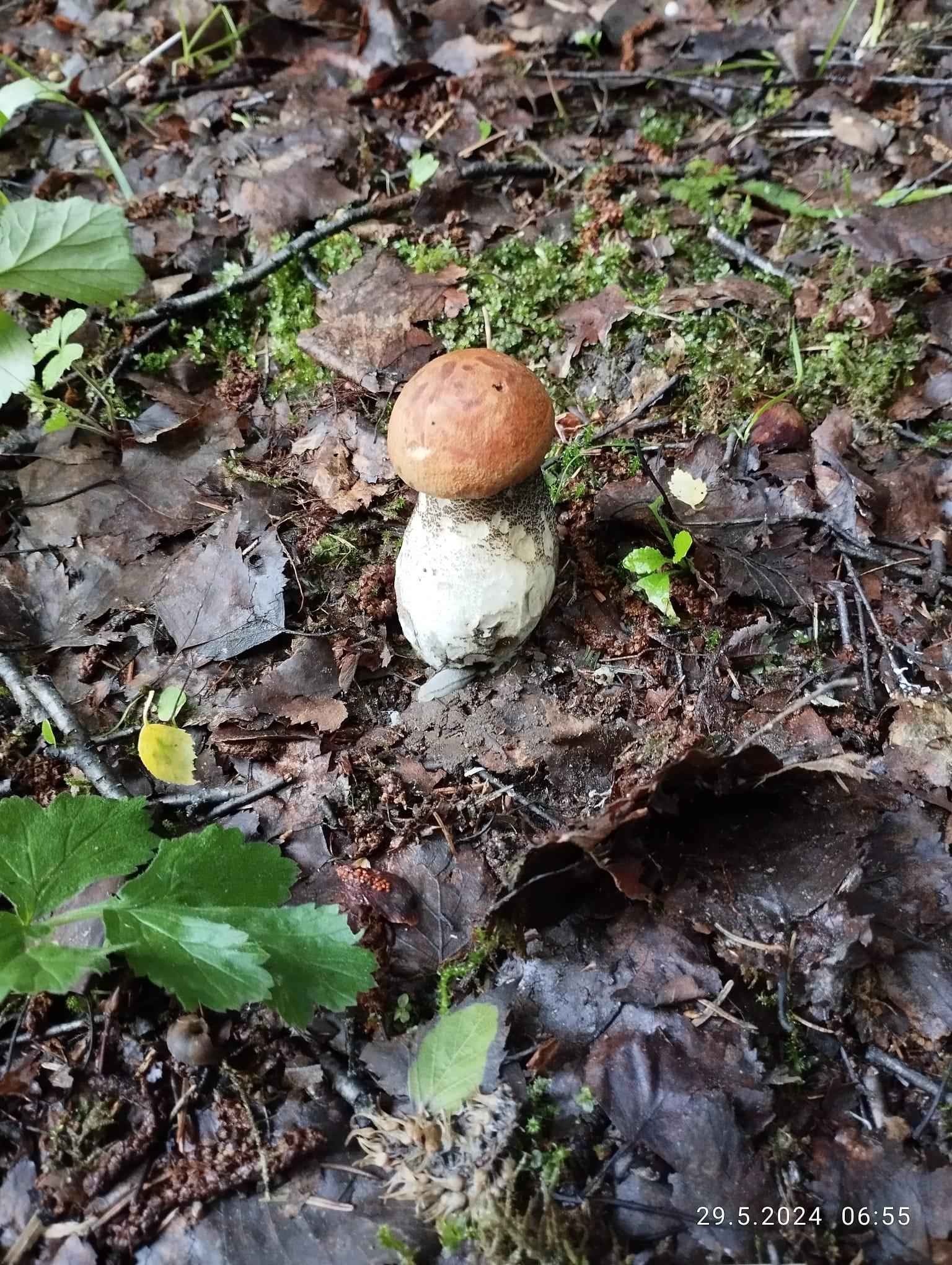 Chaty Kašperské Hory foto 4