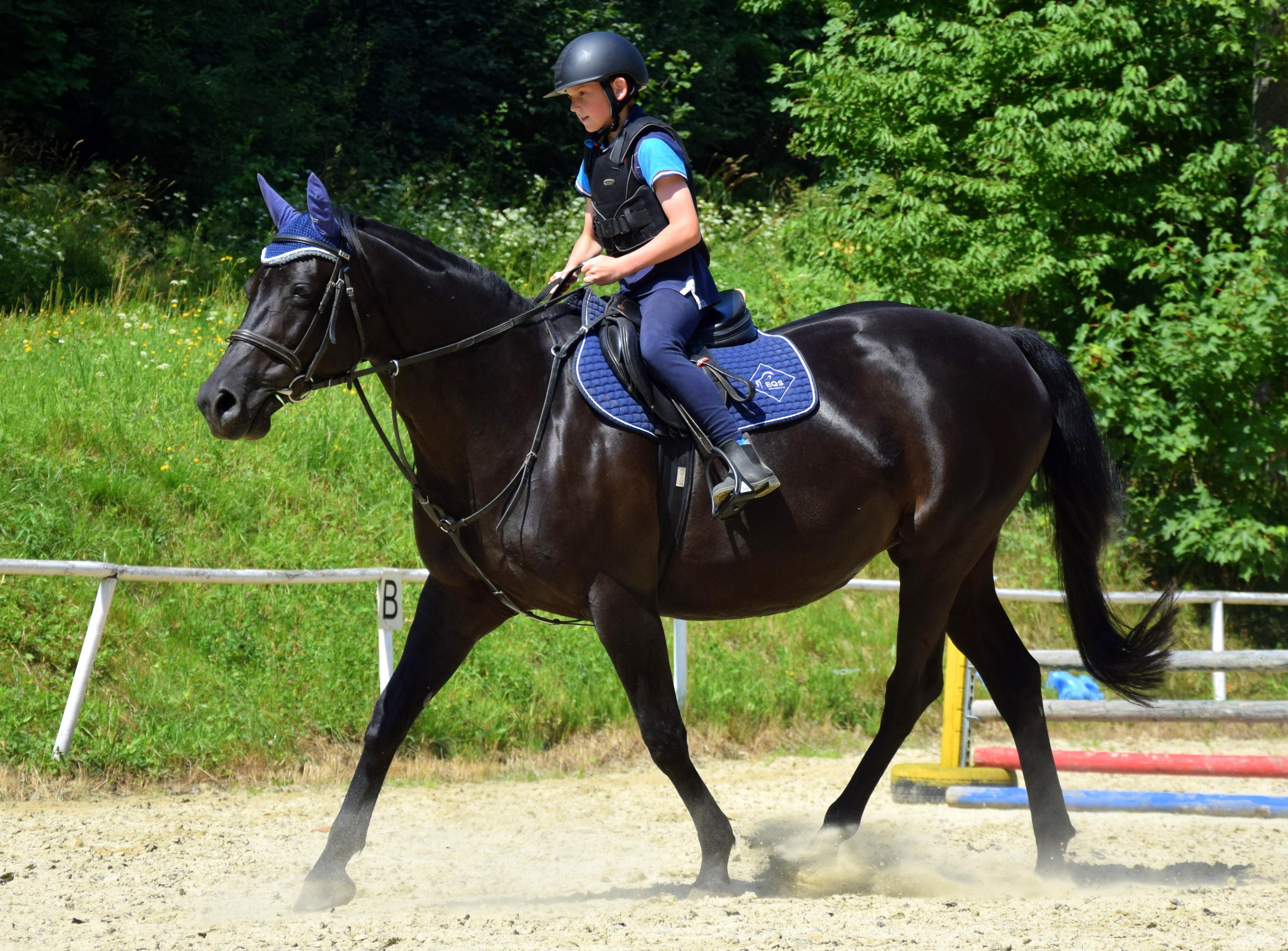Stáj Velká Štáhle