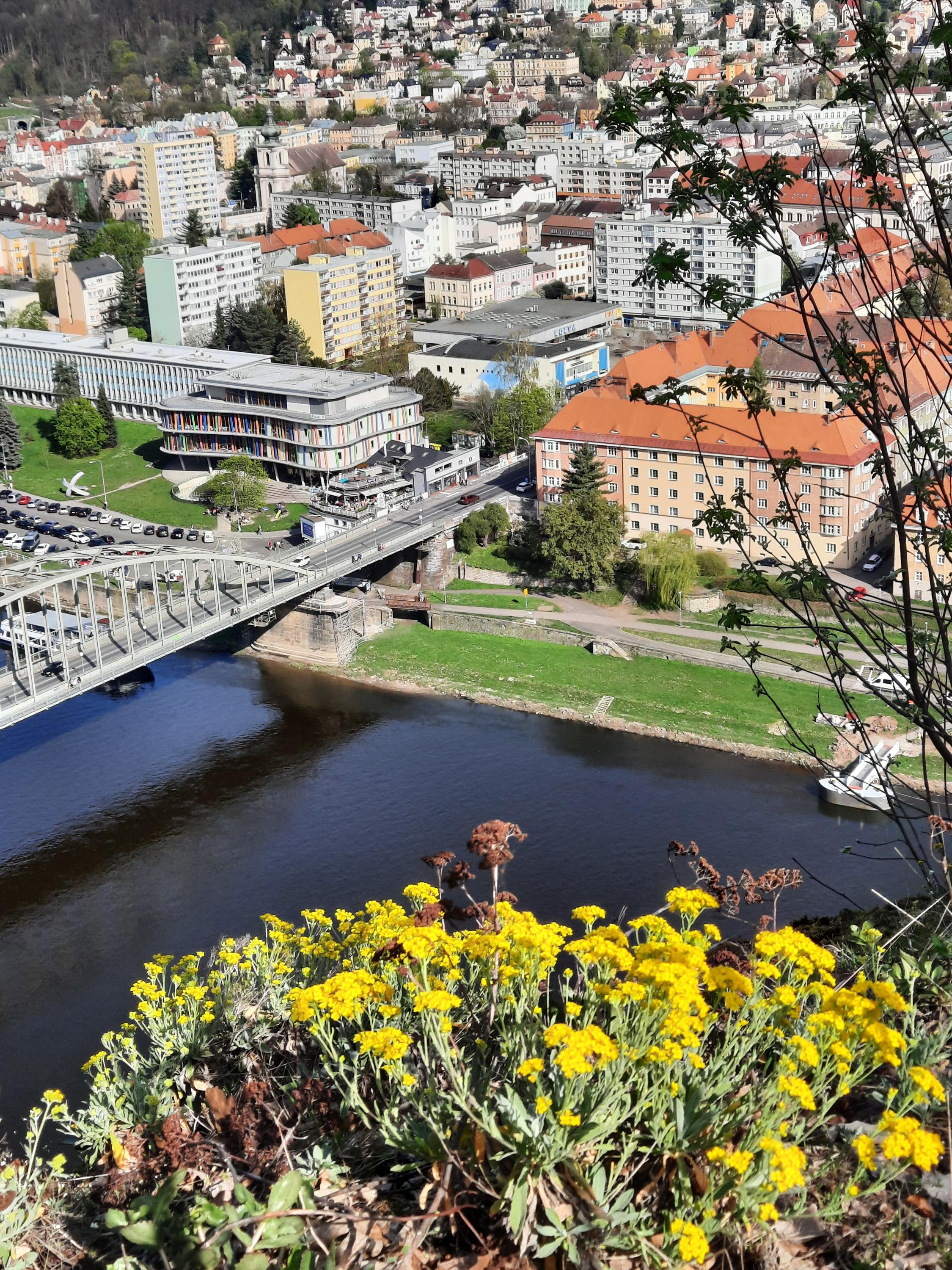Městská knihovna Děčín, p. o. foto 3