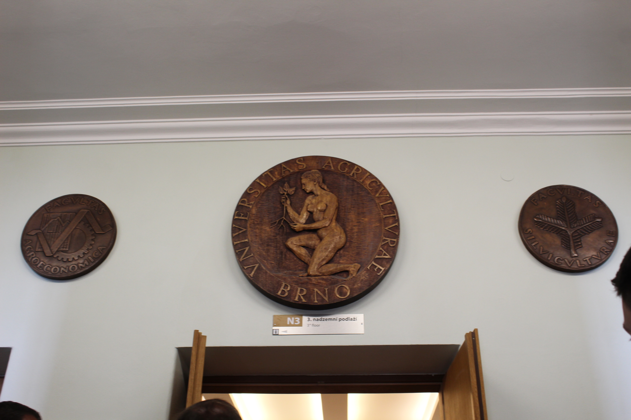 Mendelova univerzita v Brně - Aula foto 5