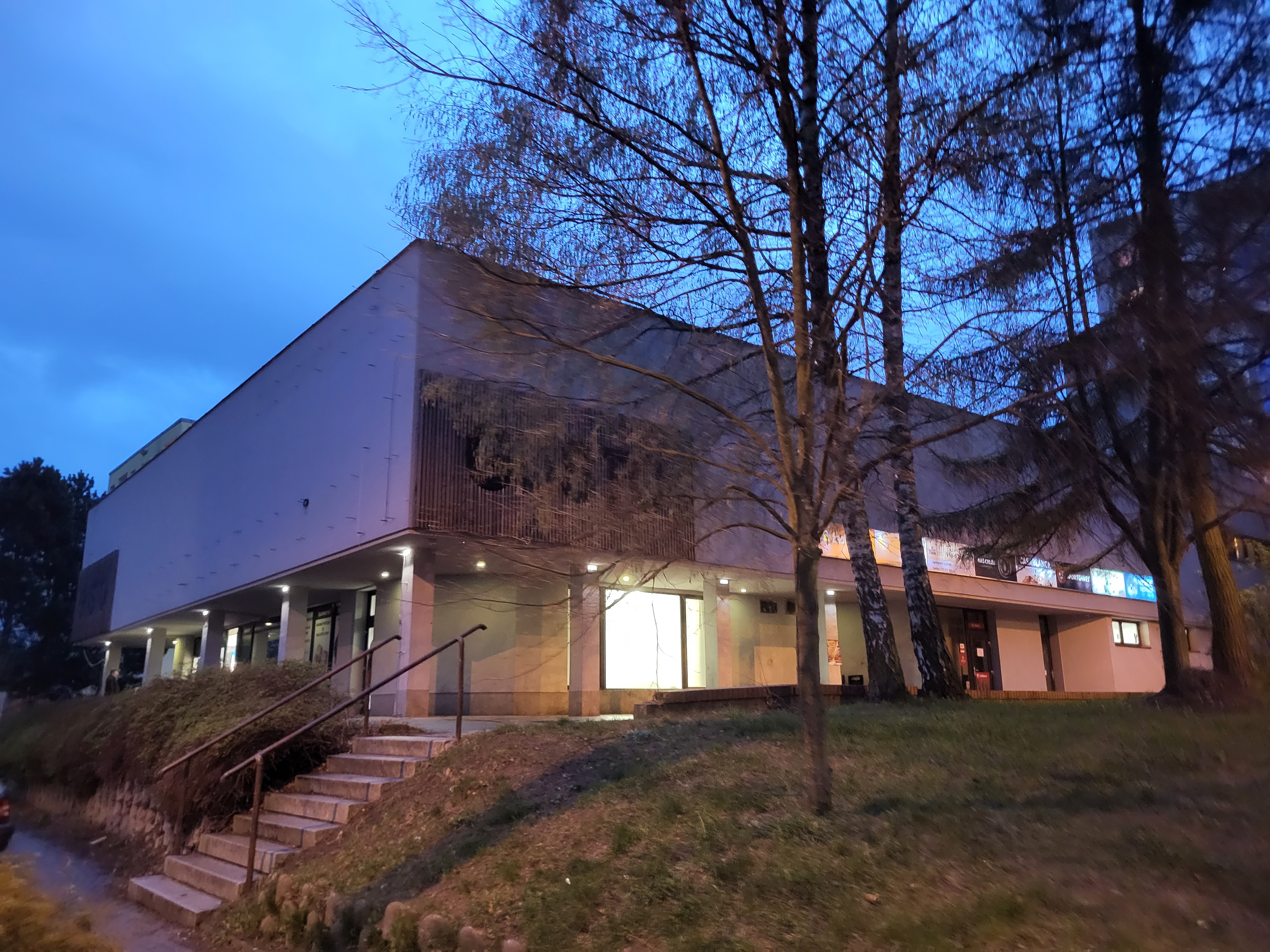 Žabka foto 3
