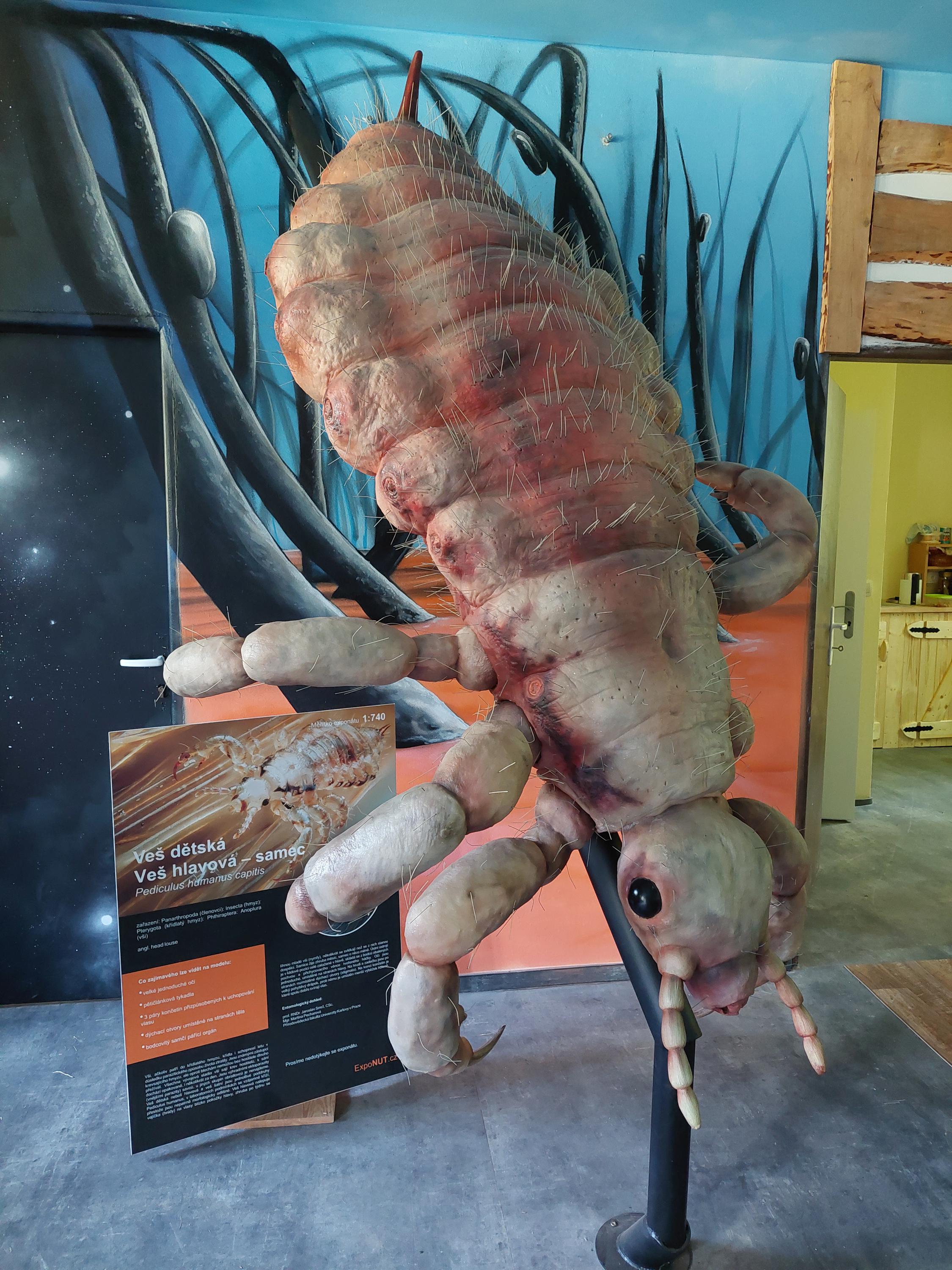 Expozice Mikrokosmos